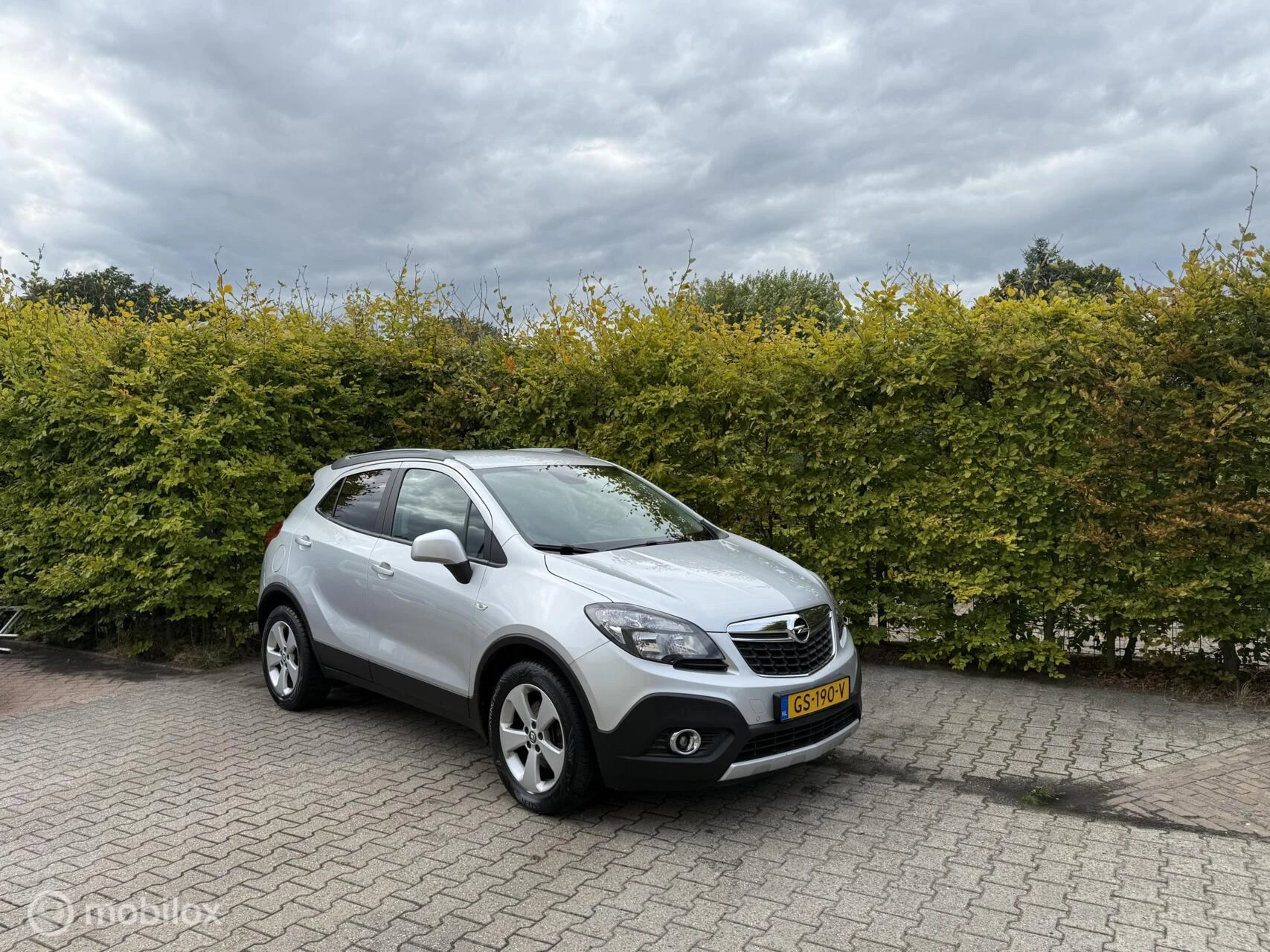 Hoofdafbeelding Opel Mokka