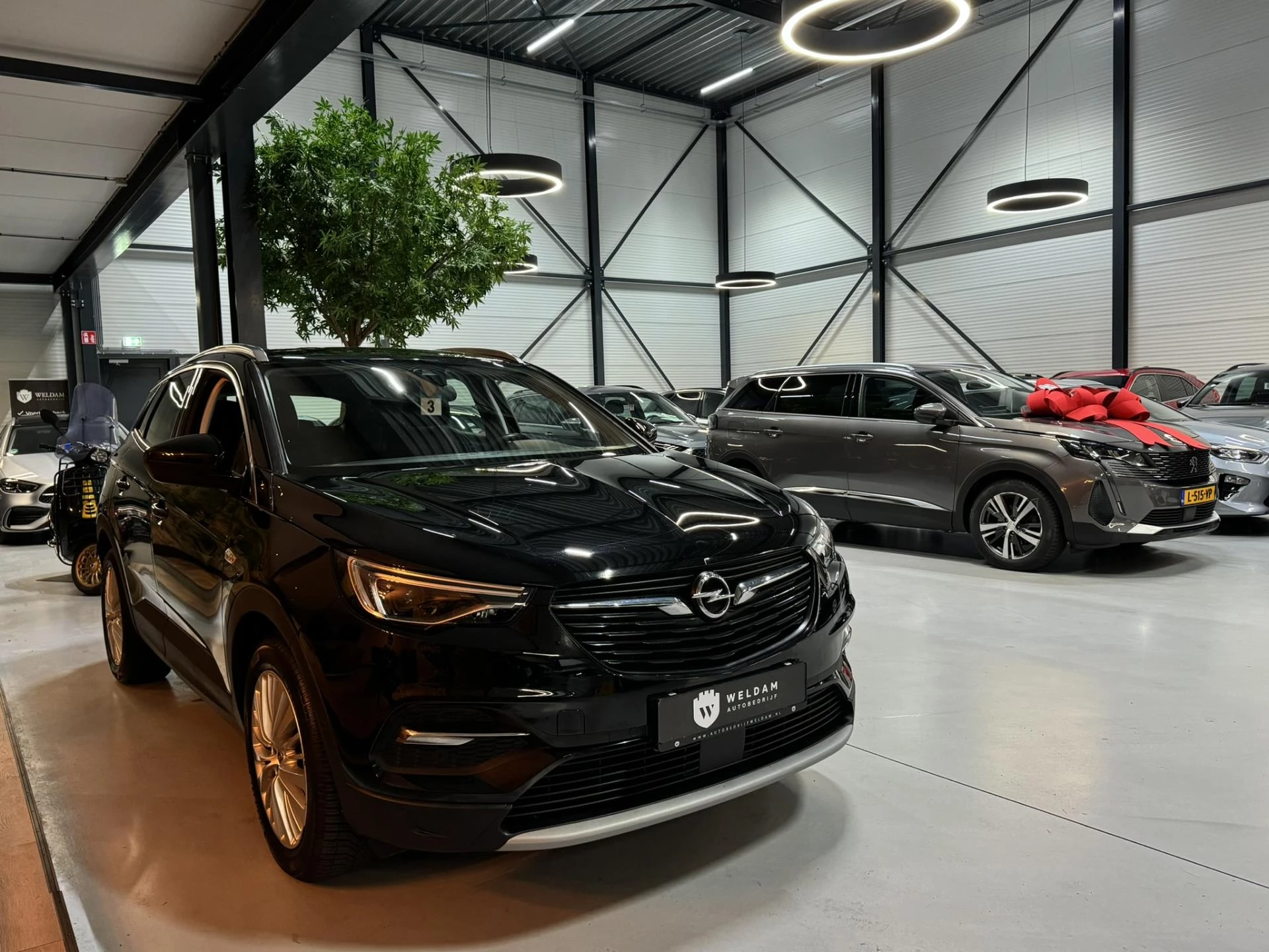 Hoofdafbeelding Opel Grandland X