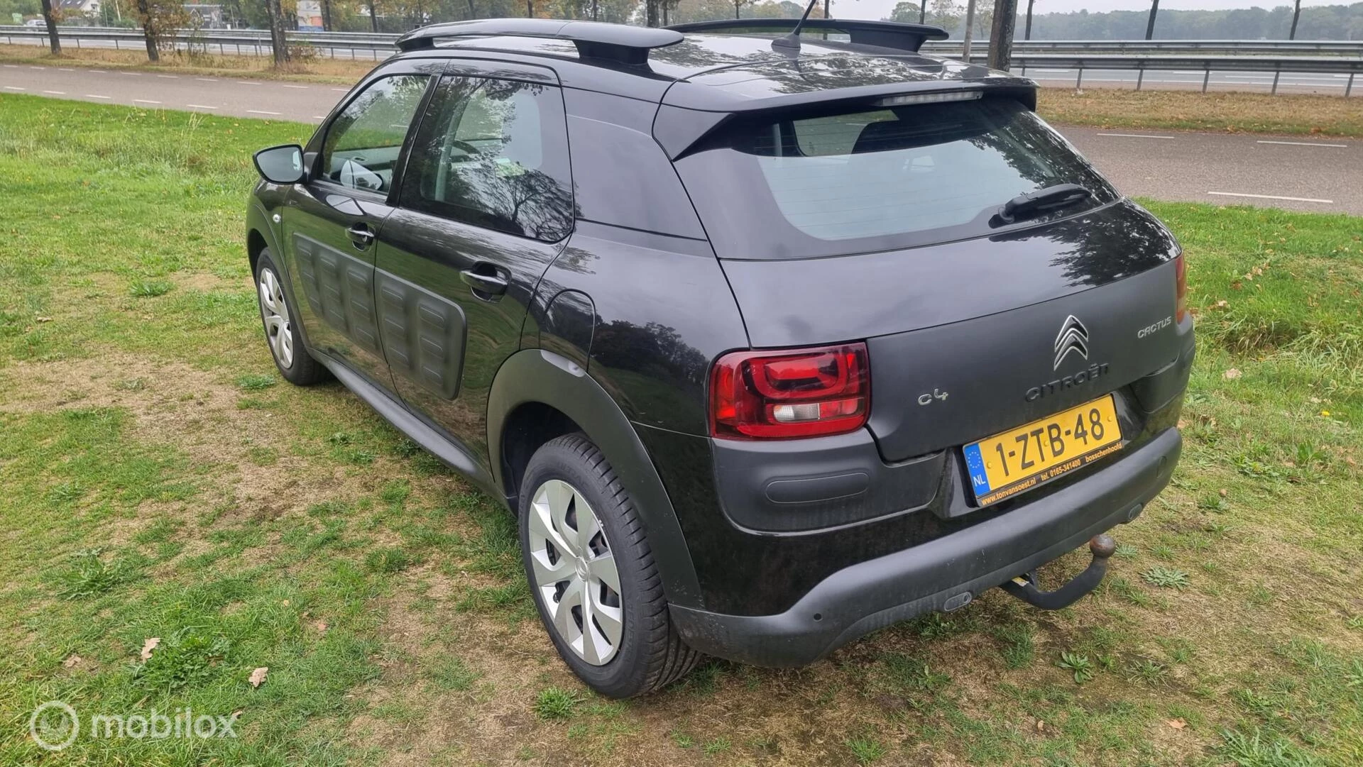 Hoofdafbeelding Citroën C4 Cactus