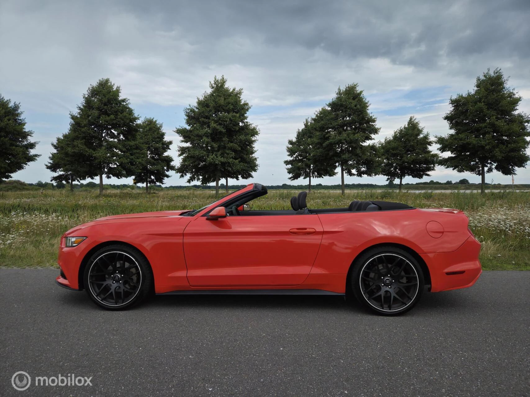 Hoofdafbeelding Ford Mustang