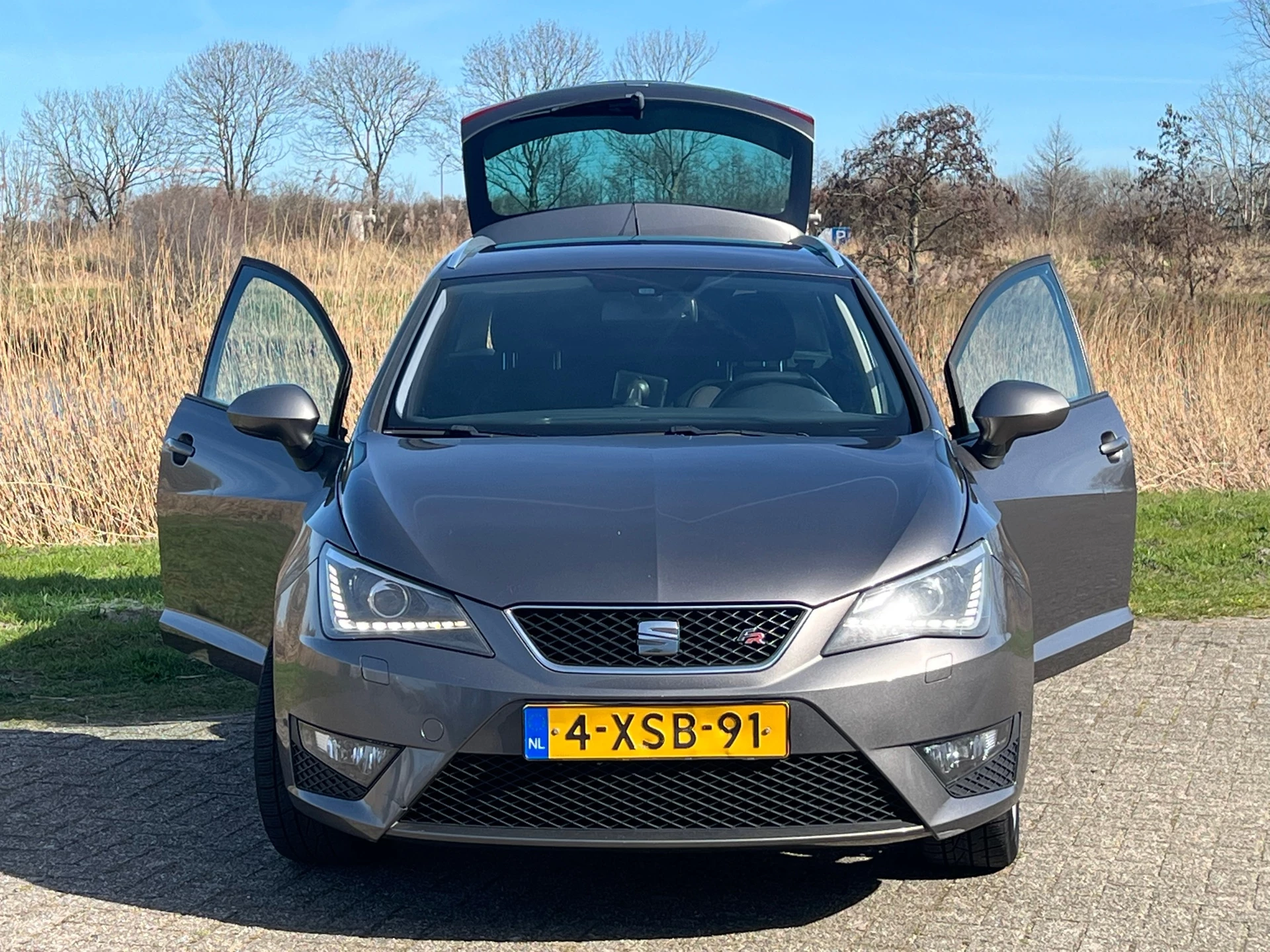 Hoofdafbeelding SEAT Ibiza