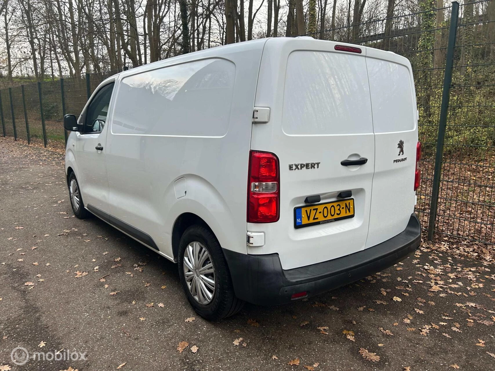 Hoofdafbeelding Peugeot Expert