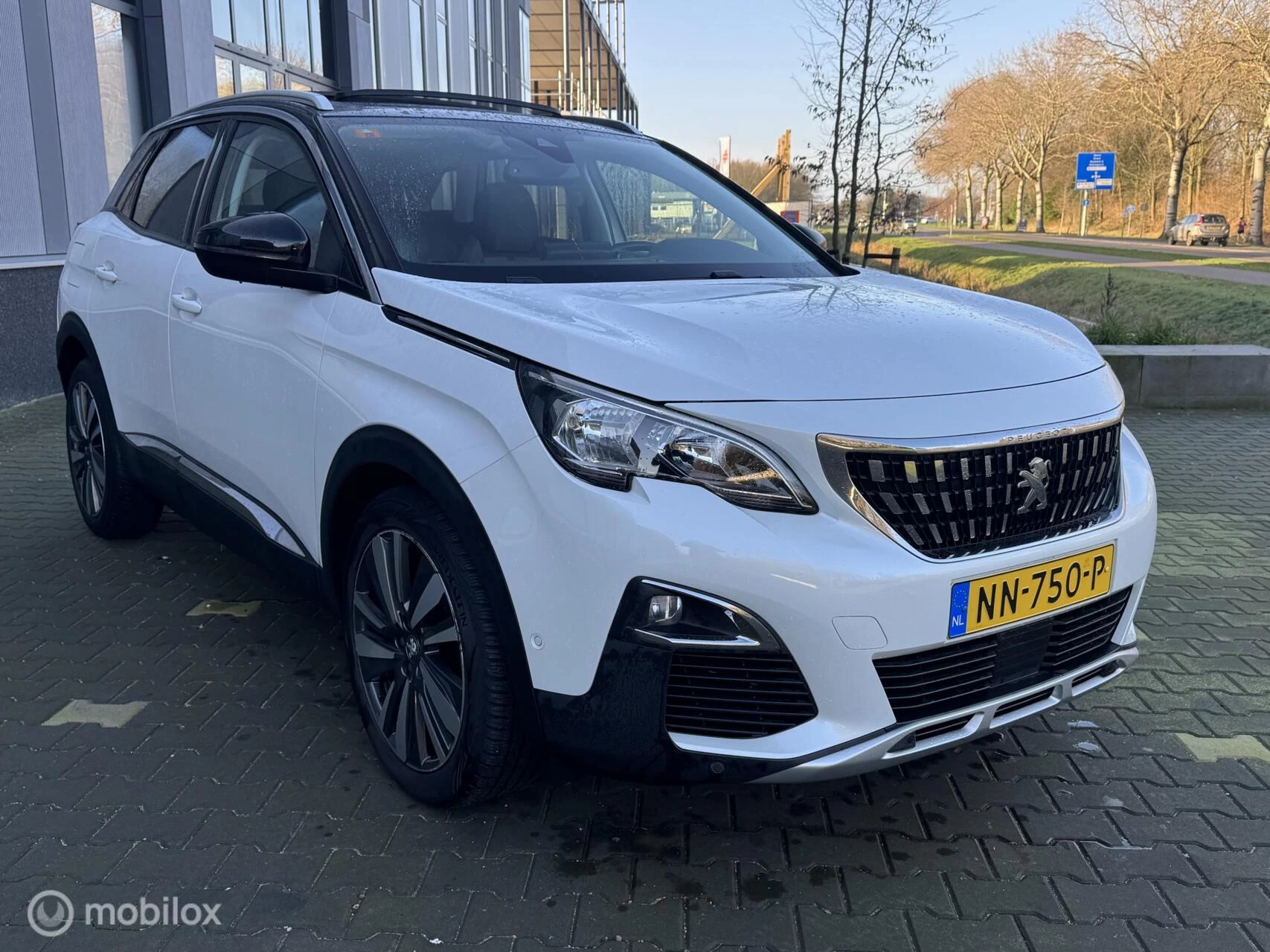 Hoofdafbeelding Peugeot 3008