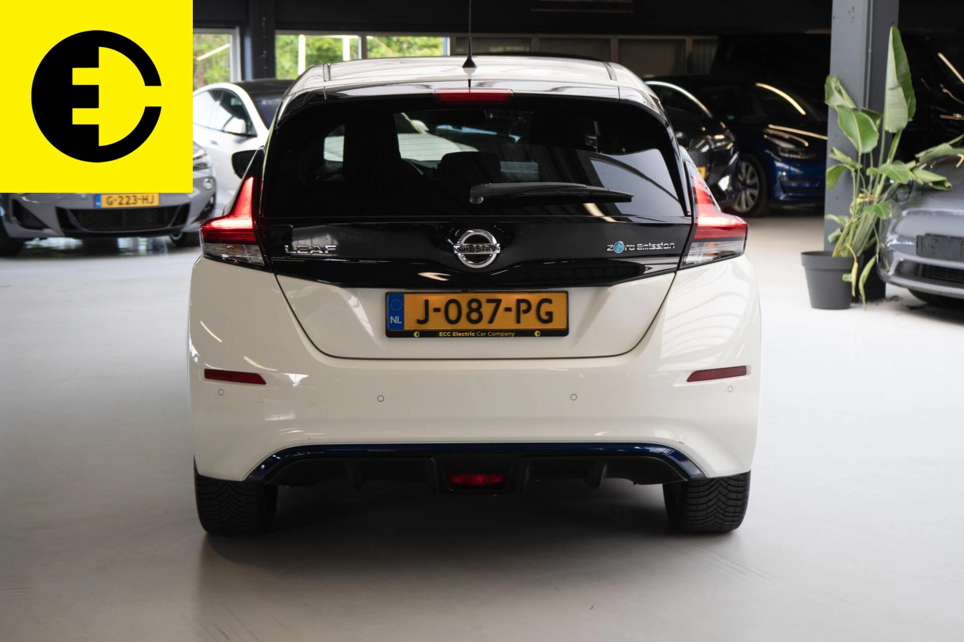 Hoofdafbeelding Nissan Leaf