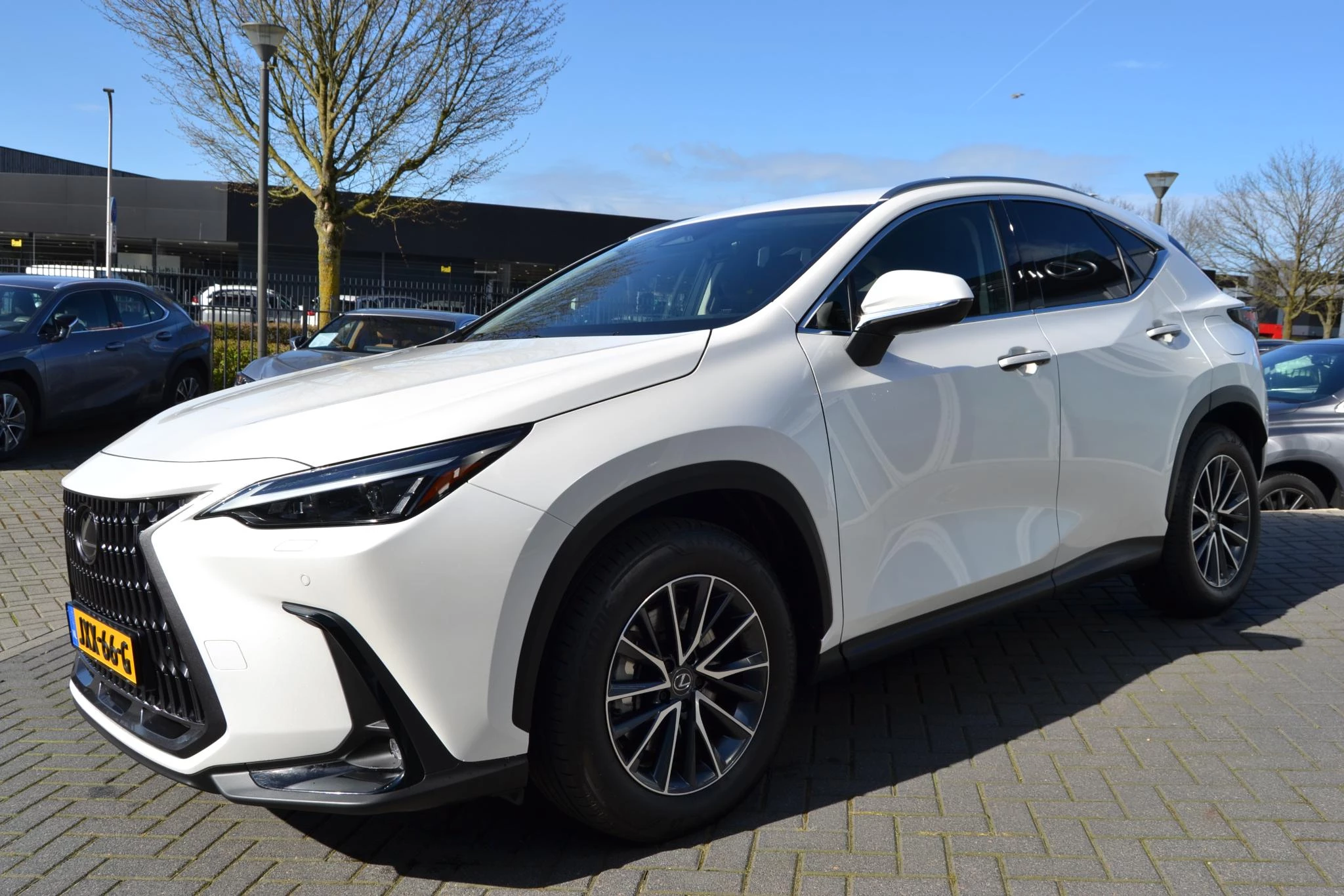 Hoofdafbeelding Lexus NX