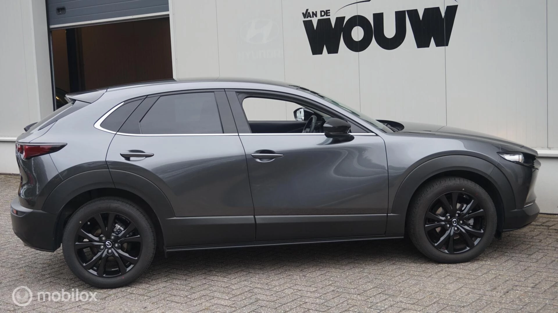 Hoofdafbeelding Mazda CX-30