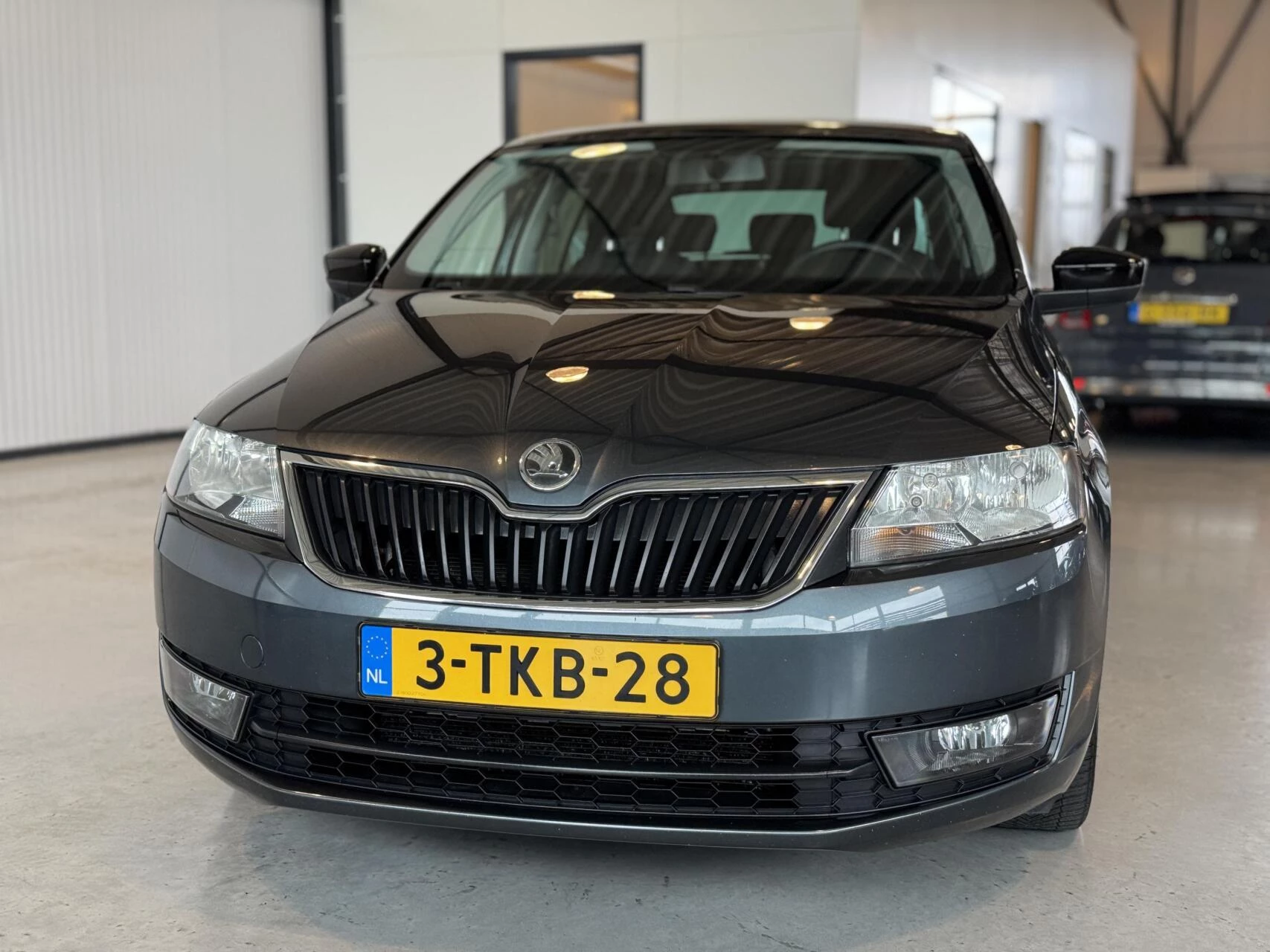 Hoofdafbeelding Škoda Rapid