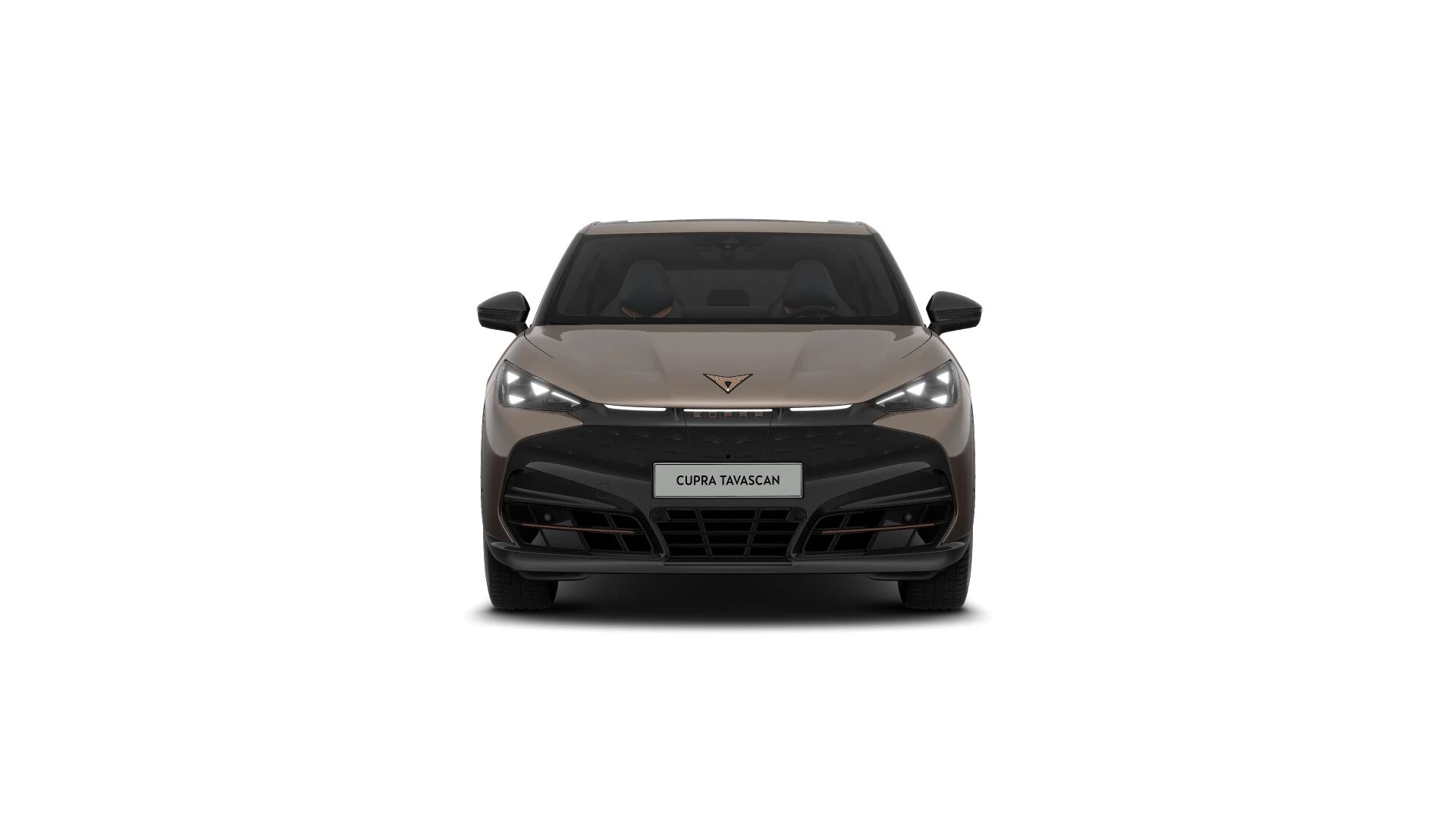 Hoofdafbeelding CUPRA Tavascan