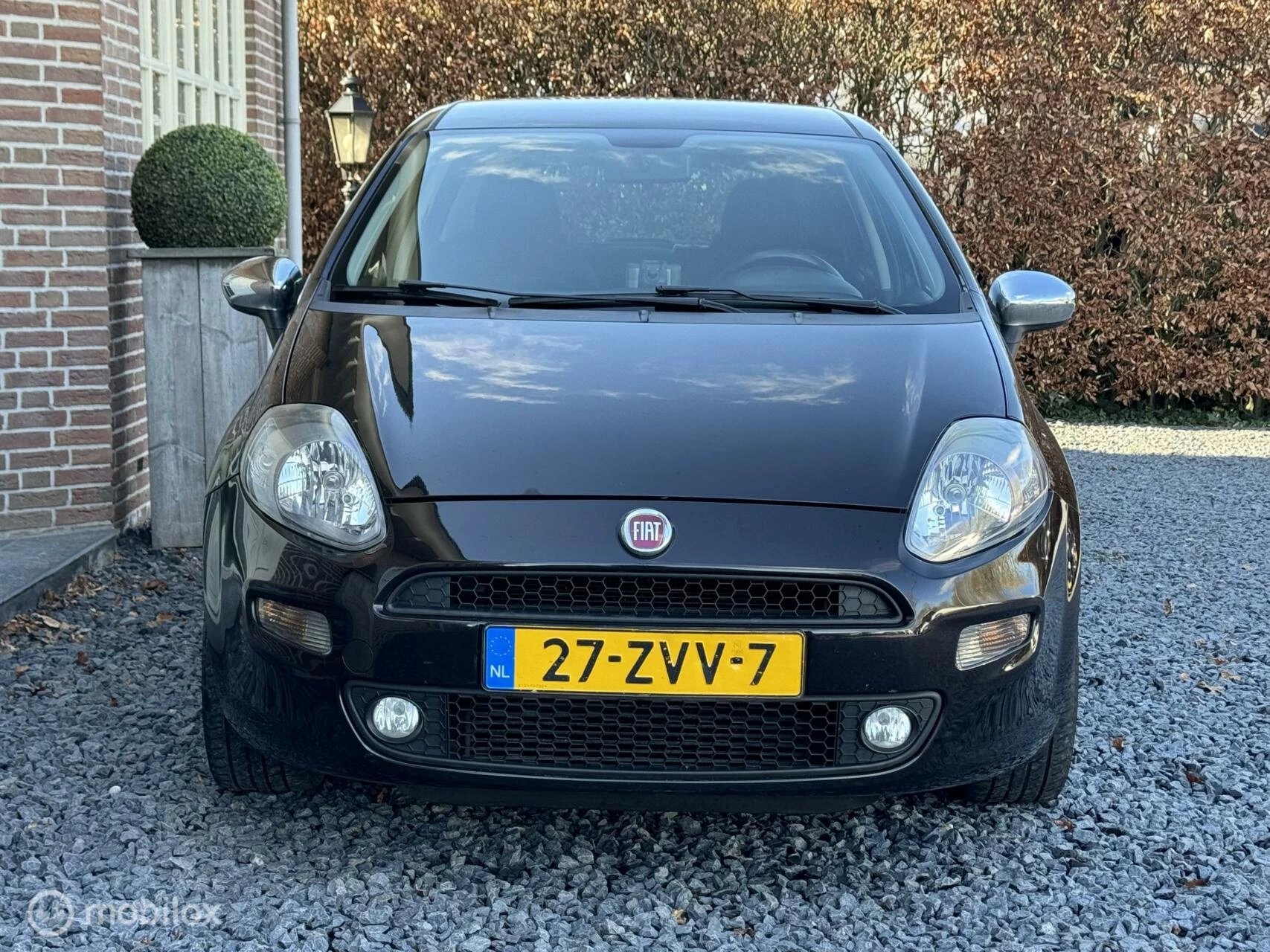 Hoofdafbeelding Fiat Punto