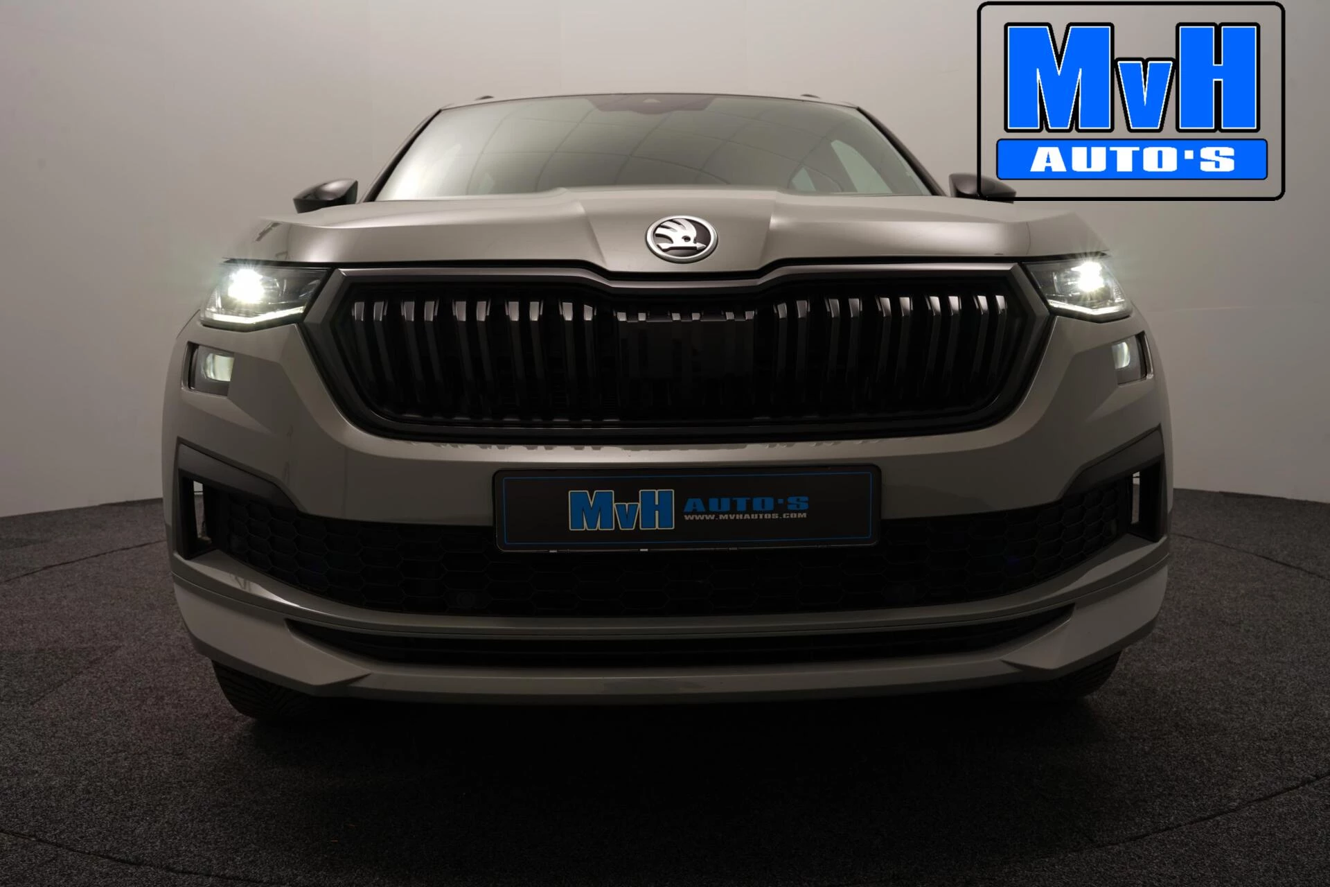Hoofdafbeelding Škoda Kodiaq