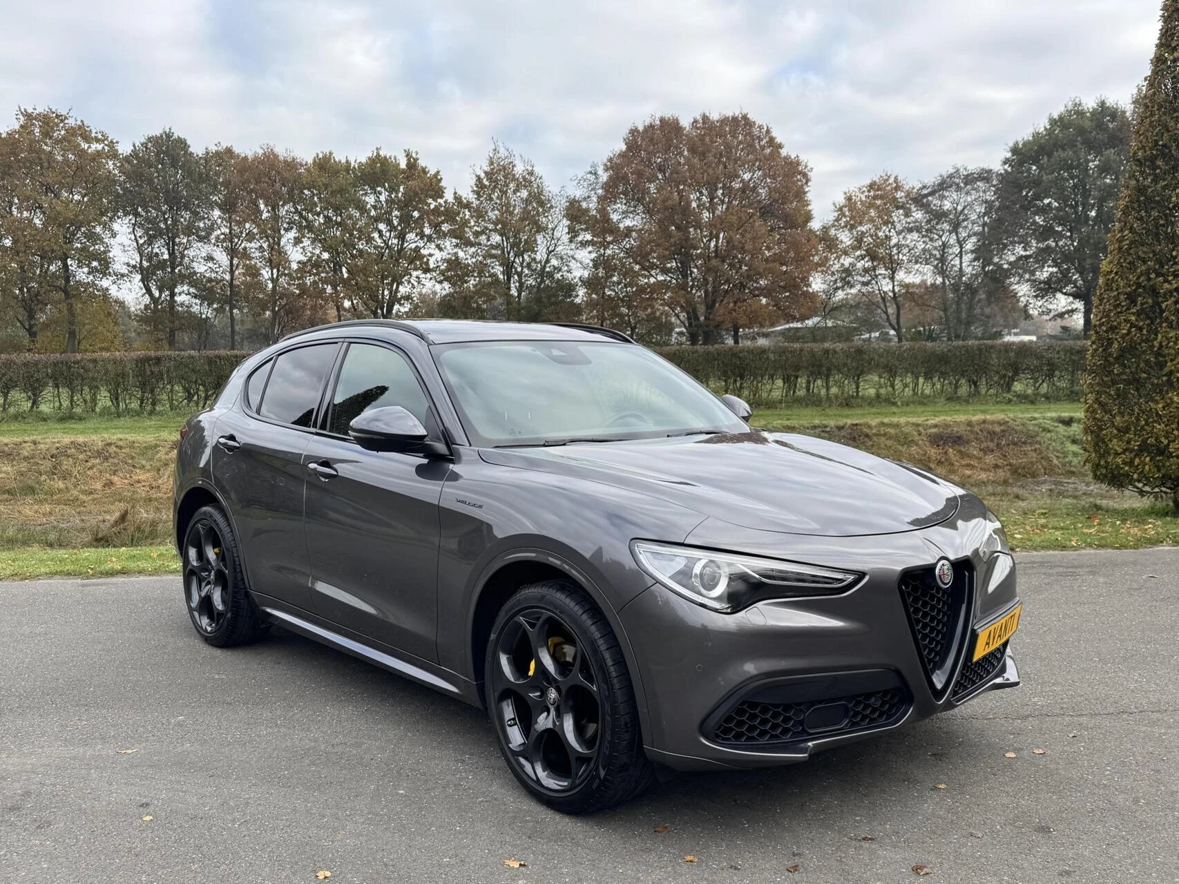 Hoofdafbeelding Alfa Romeo Stelvio