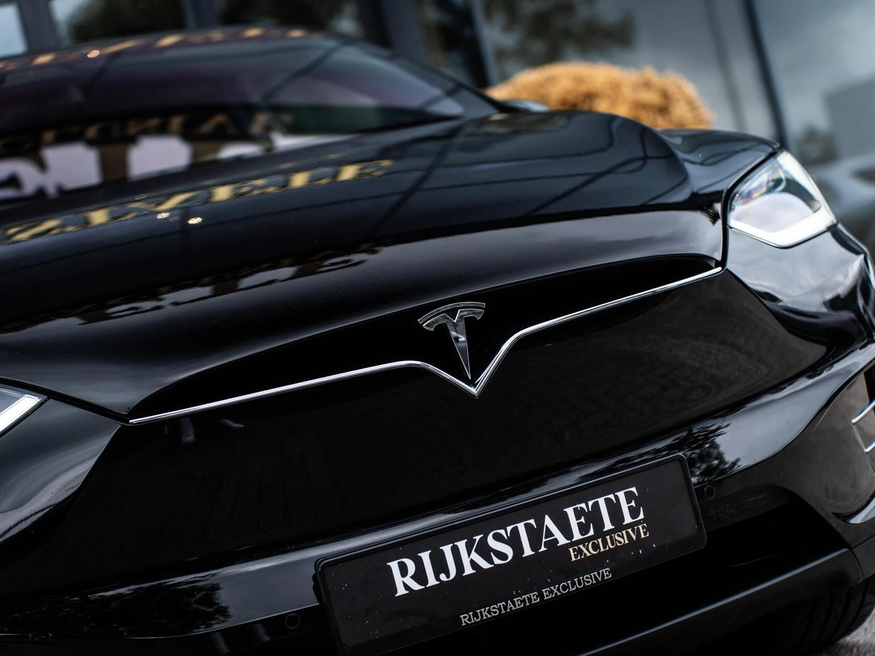 Hoofdafbeelding Tesla Model X