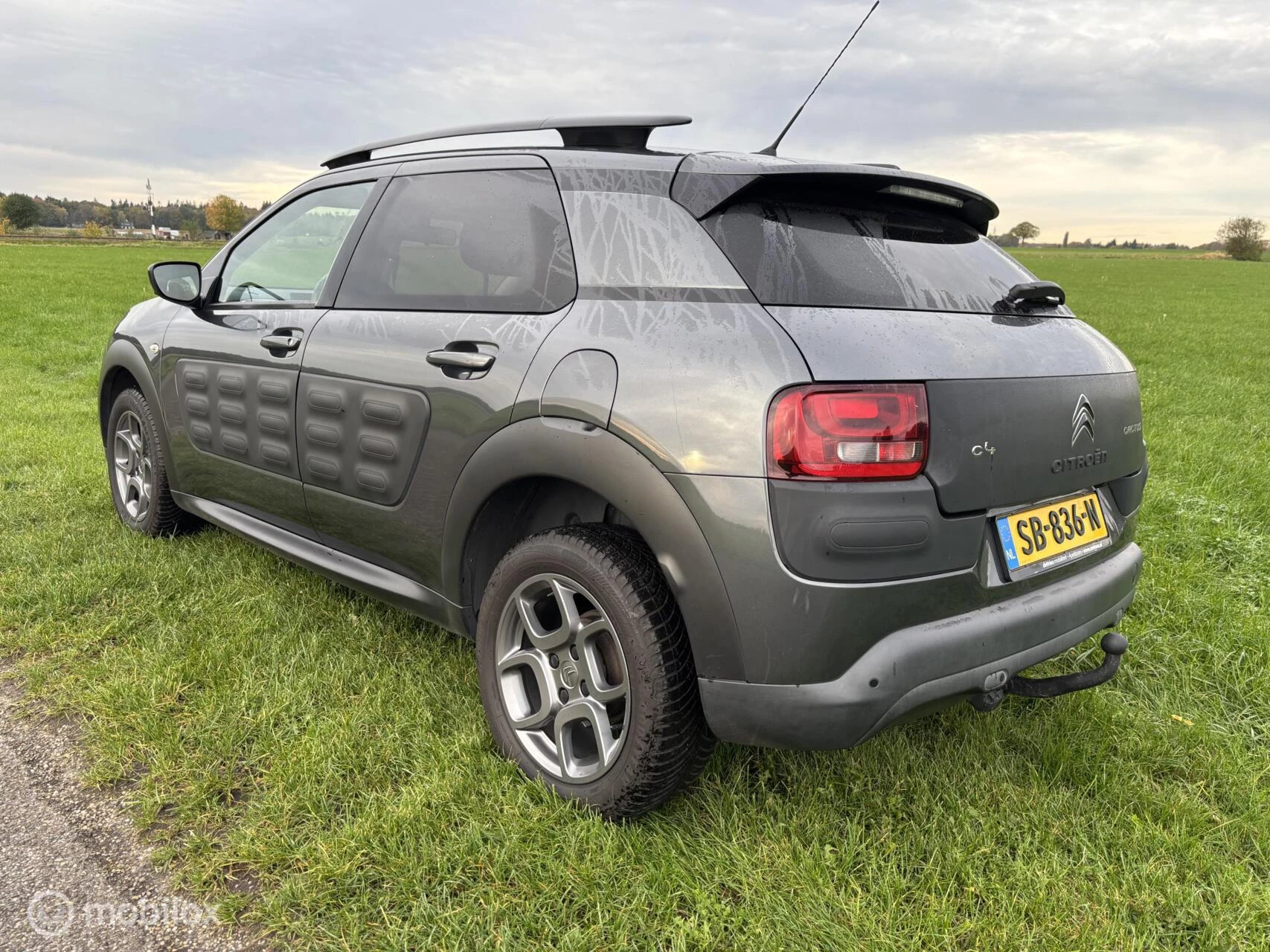 Hoofdafbeelding Citroën C4 Cactus