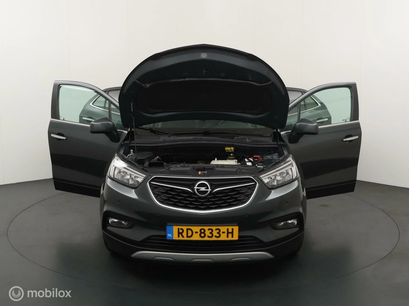 Hoofdafbeelding Opel Mokka X