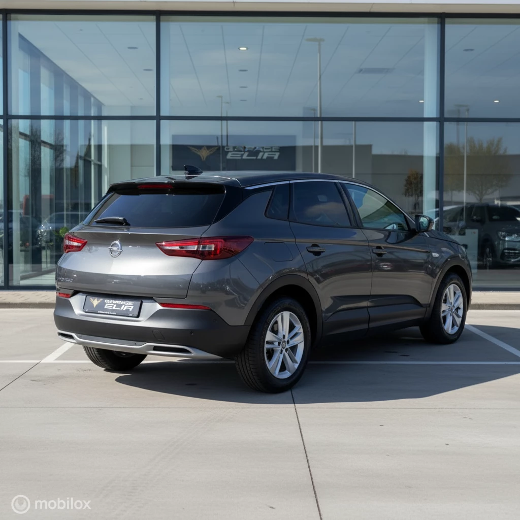 Hoofdafbeelding Opel Grandland X