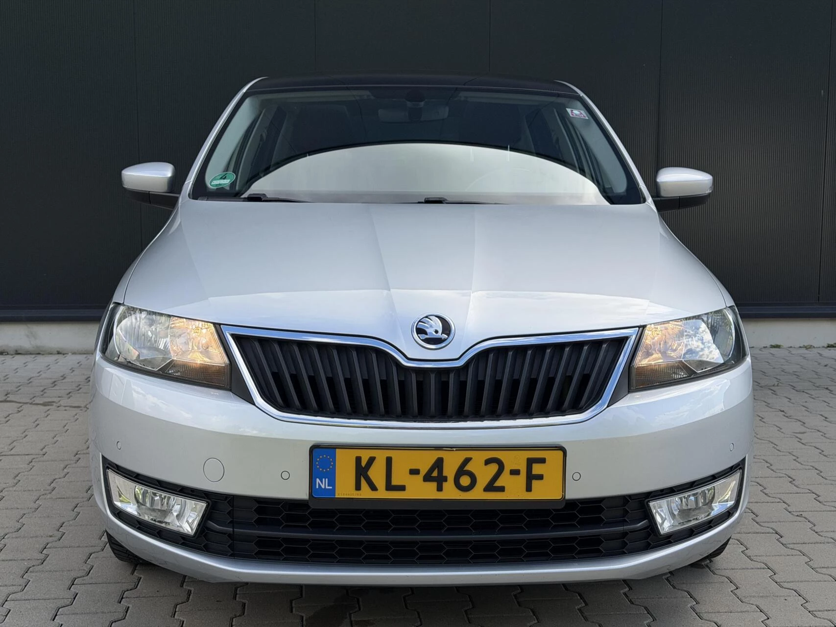 Hoofdafbeelding Škoda Rapid