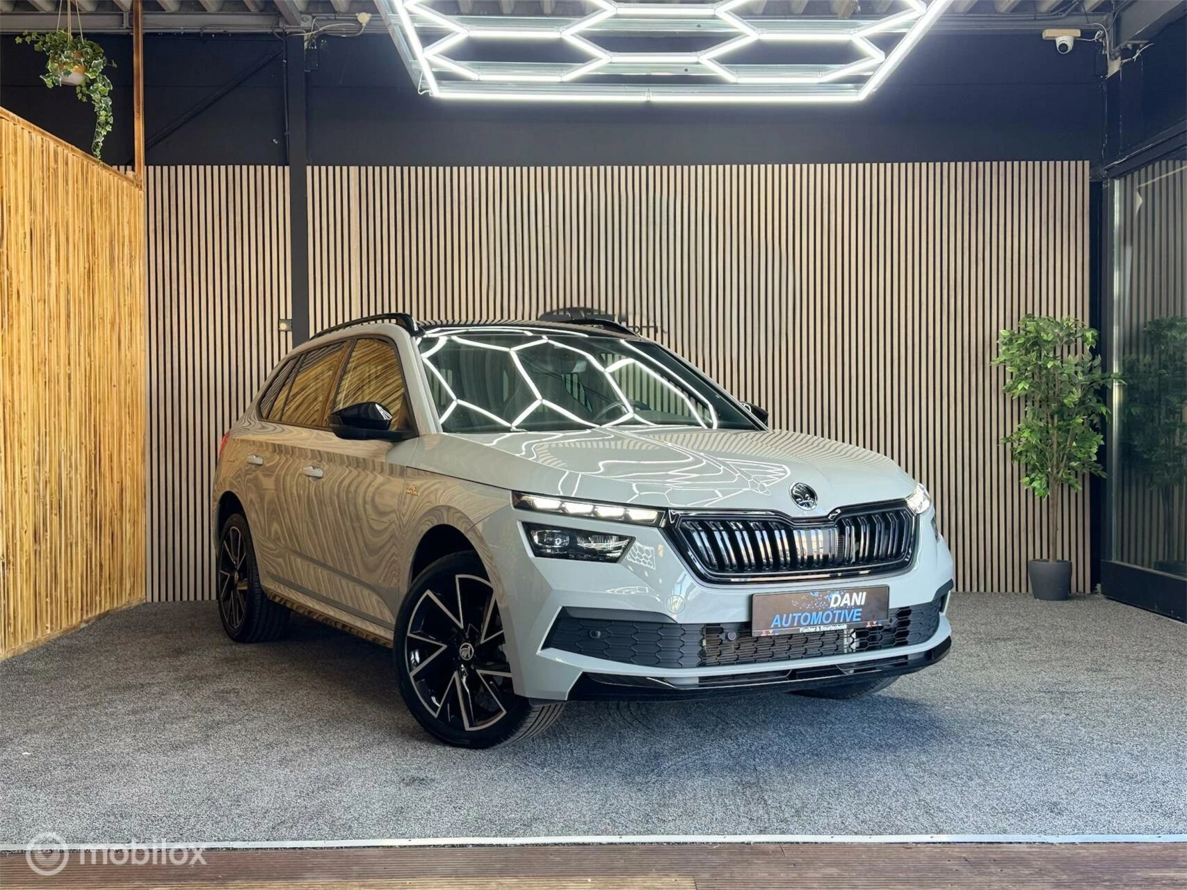 Hoofdafbeelding Škoda Kamiq
