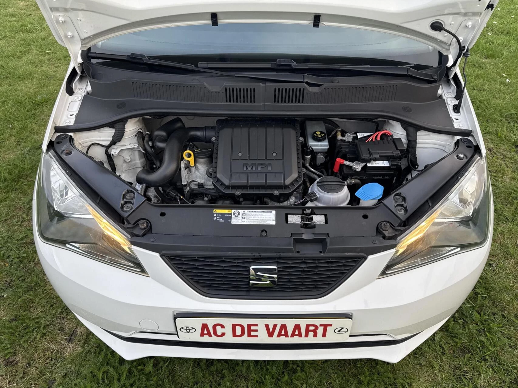 Hoofdafbeelding SEAT Mii