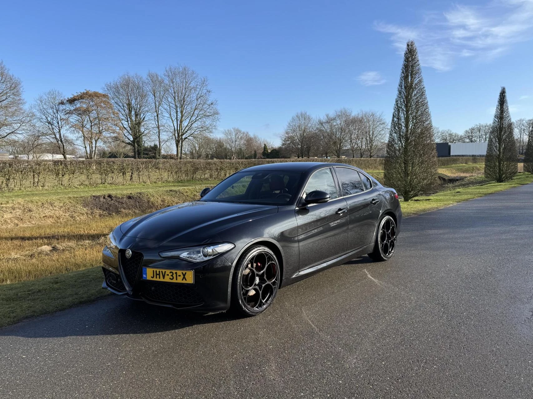 Hoofdafbeelding Alfa Romeo Giulia