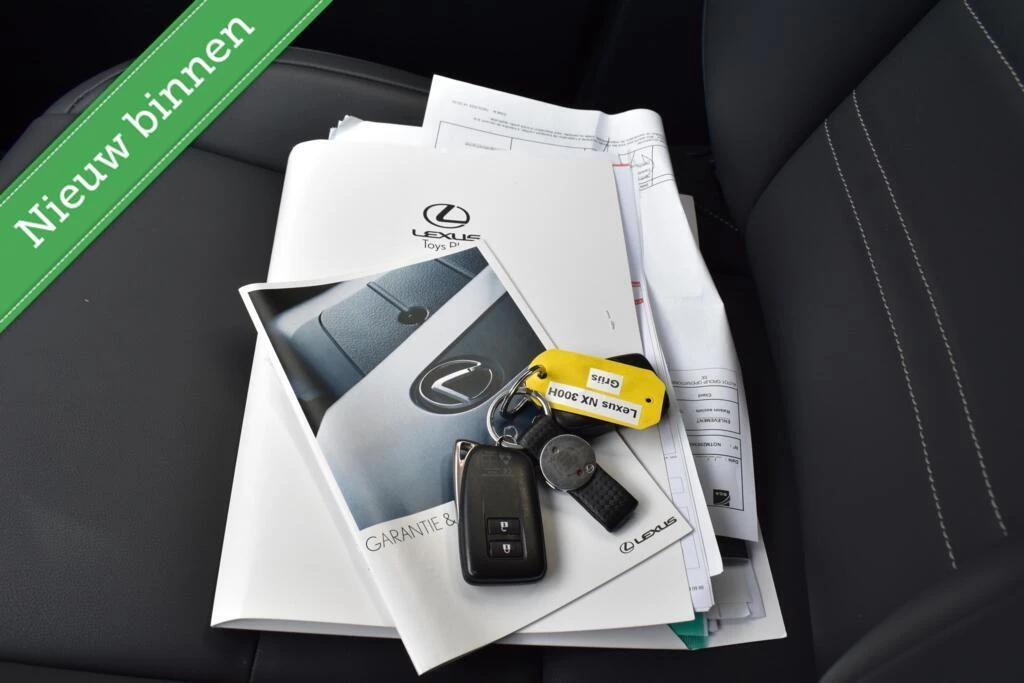 Hoofdafbeelding Lexus NX