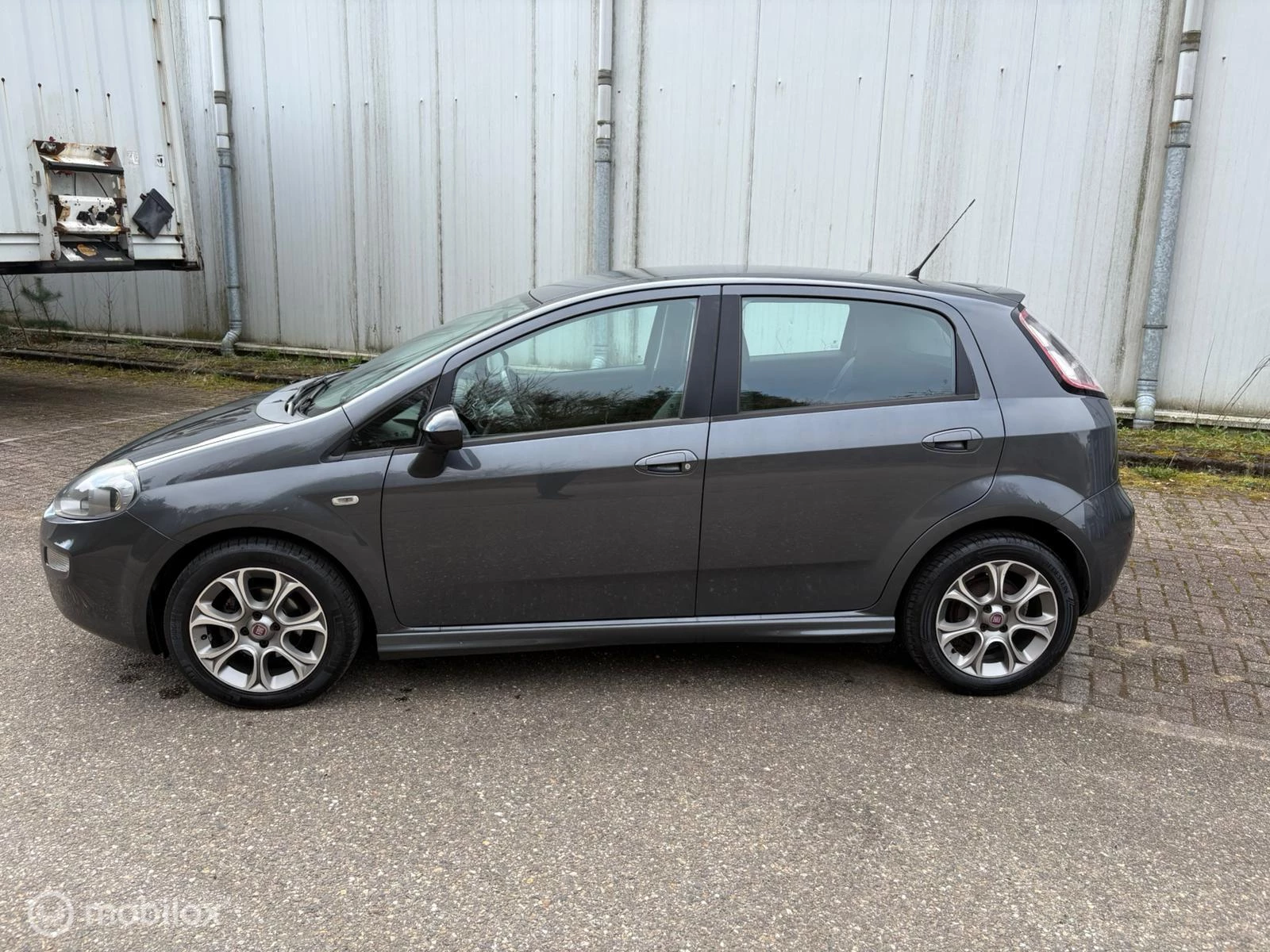 Hoofdafbeelding Fiat Punto
