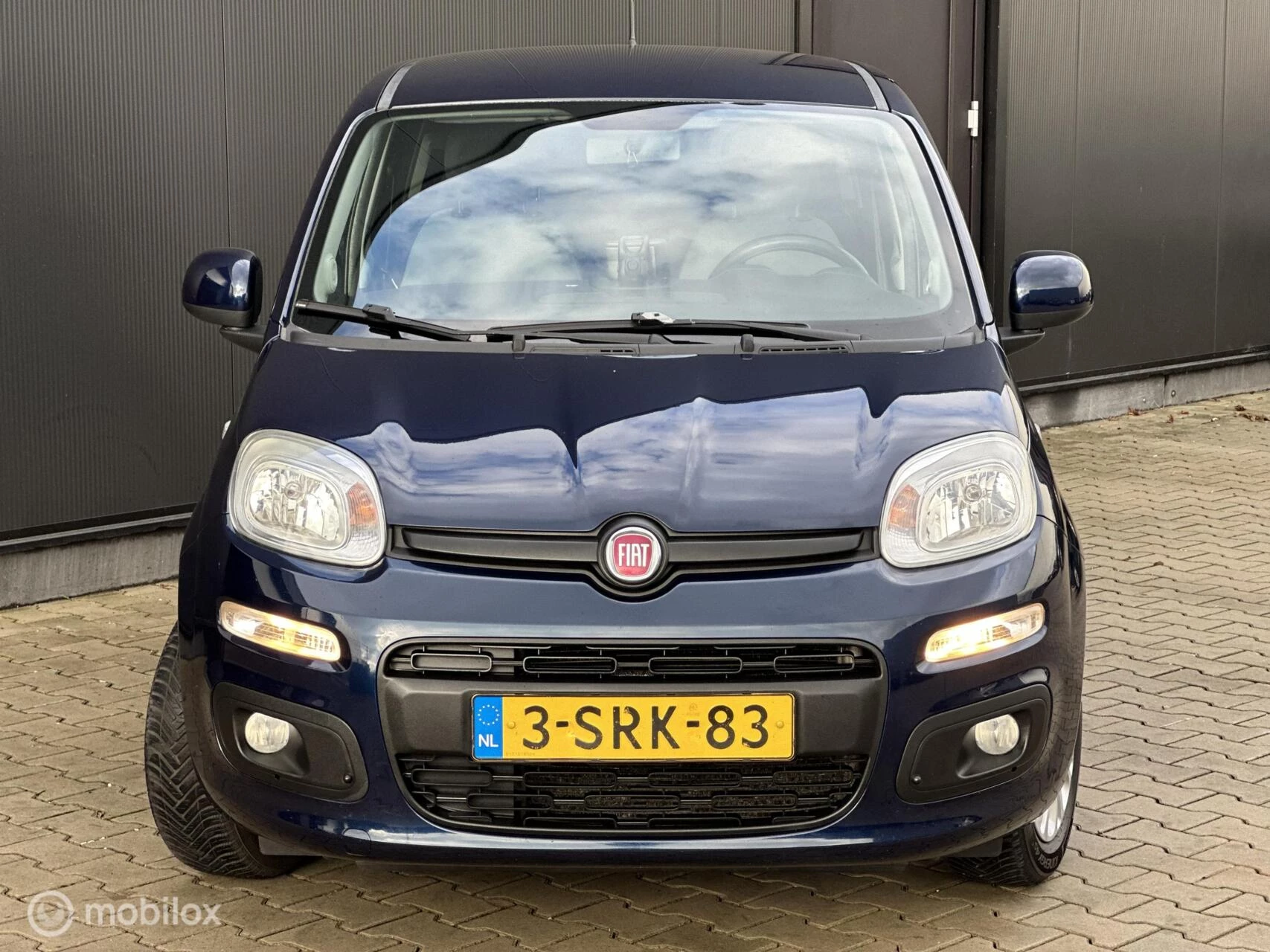Hoofdafbeelding Fiat Panda