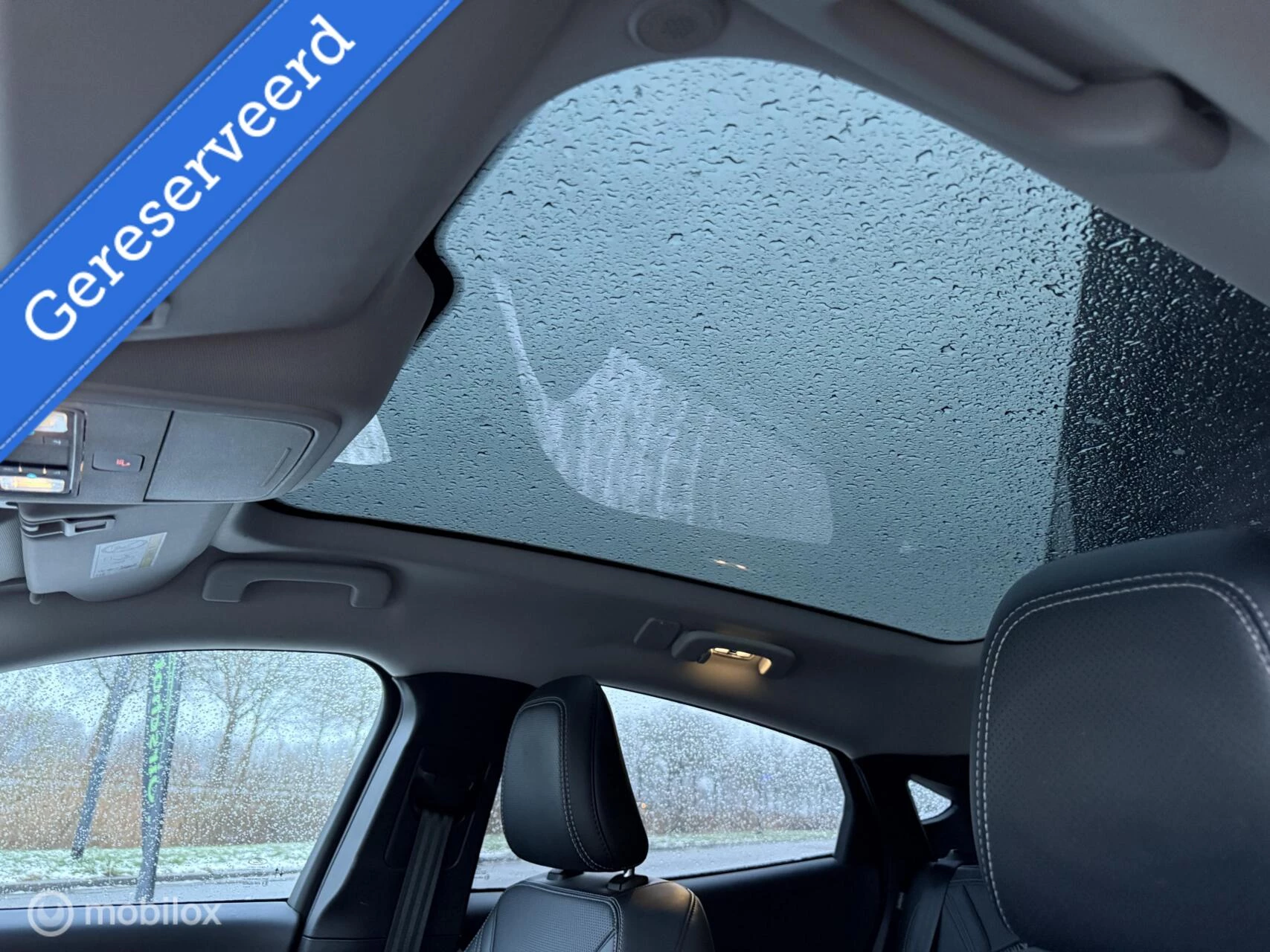 Hoofdafbeelding Ford Mustang Mach-E