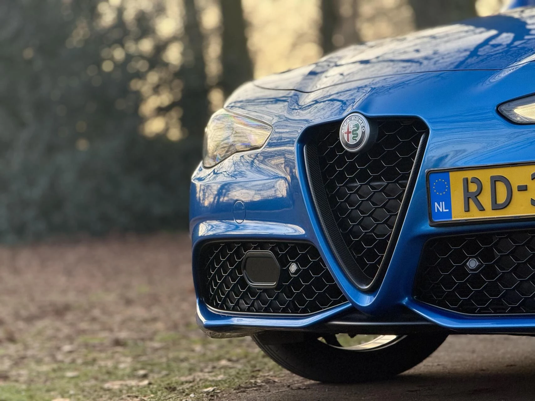 Hoofdafbeelding Alfa Romeo Giulia