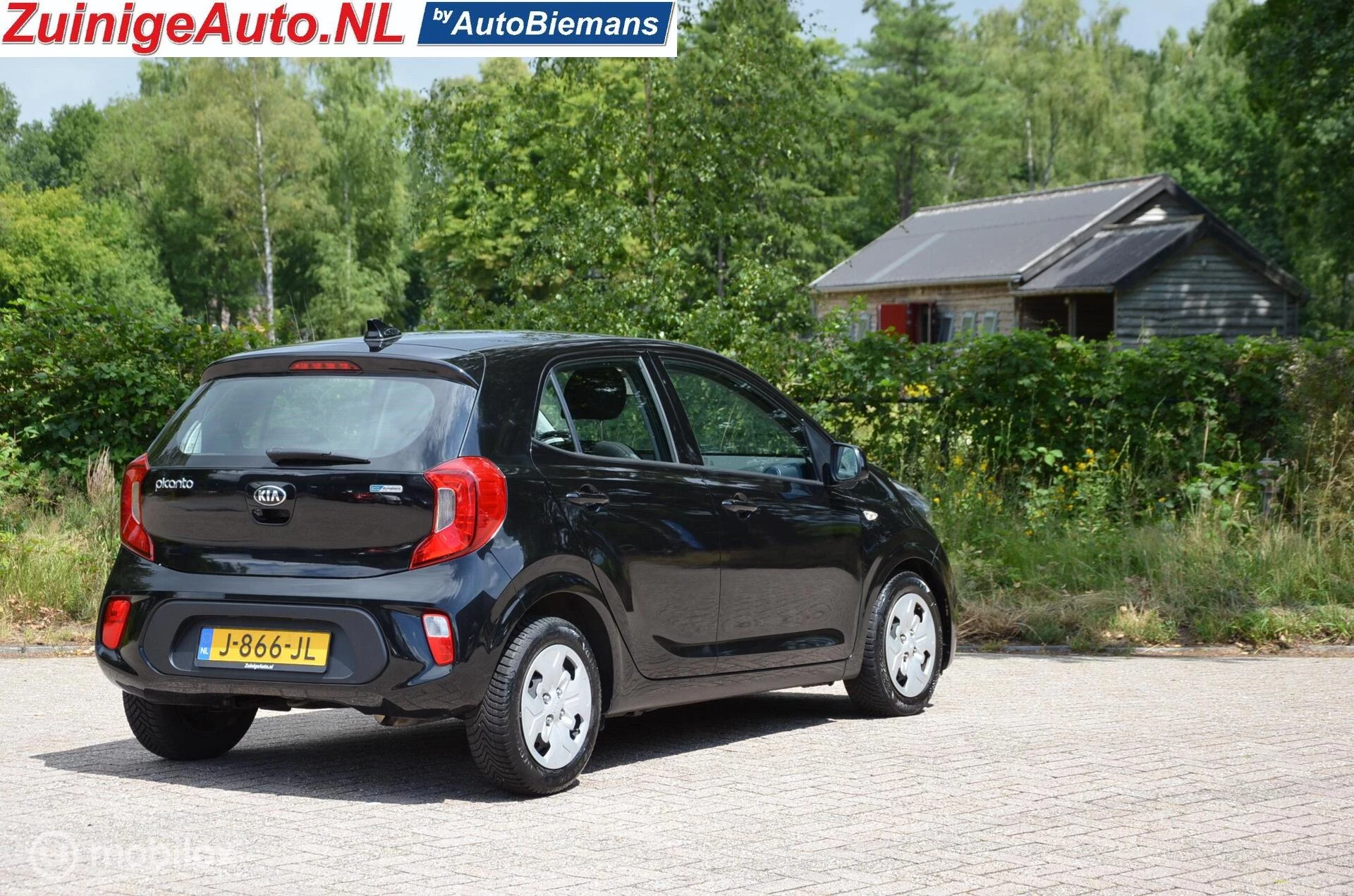 Hoofdafbeelding Kia Picanto