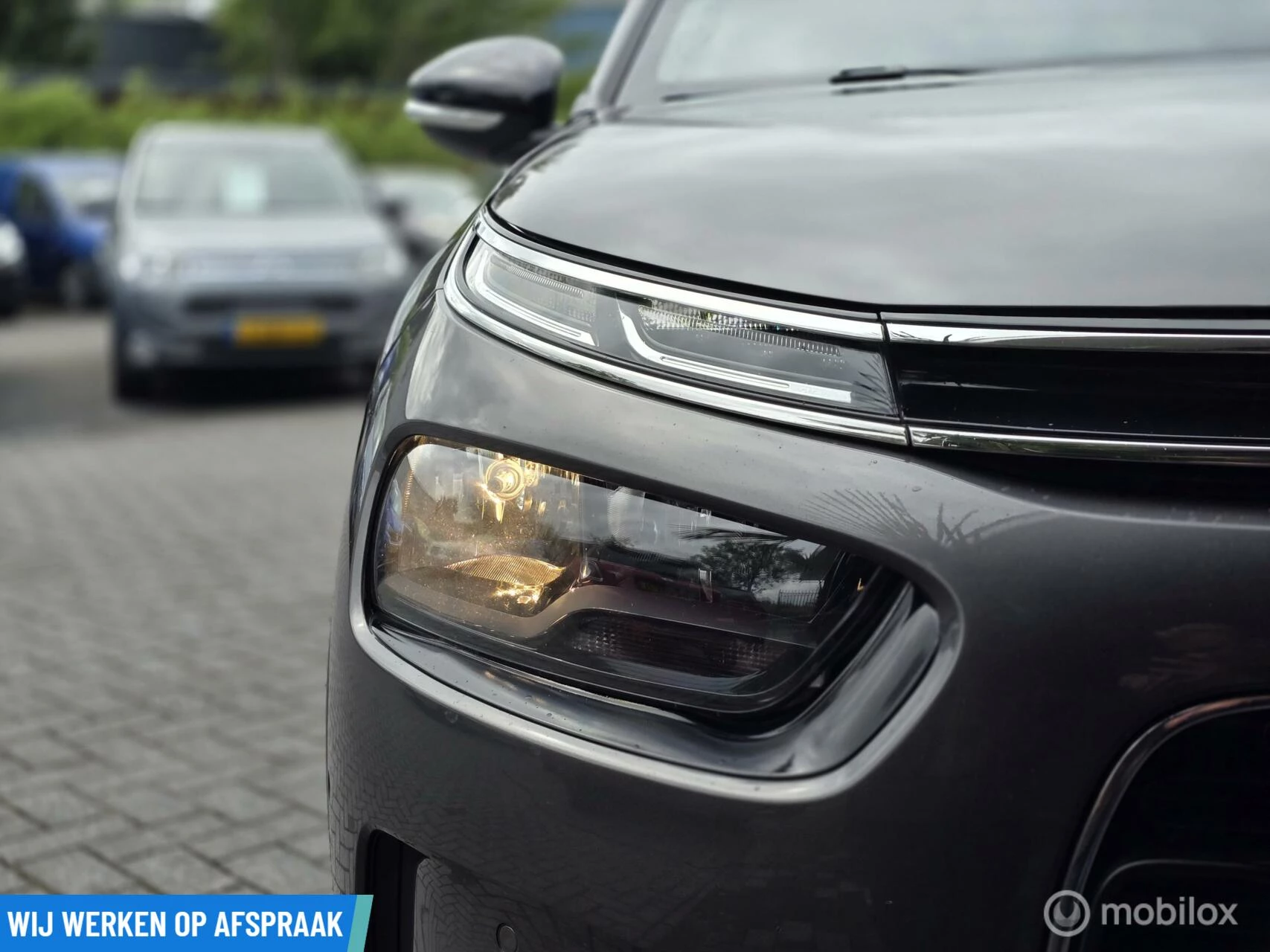 Hoofdafbeelding Citroën C4 Cactus