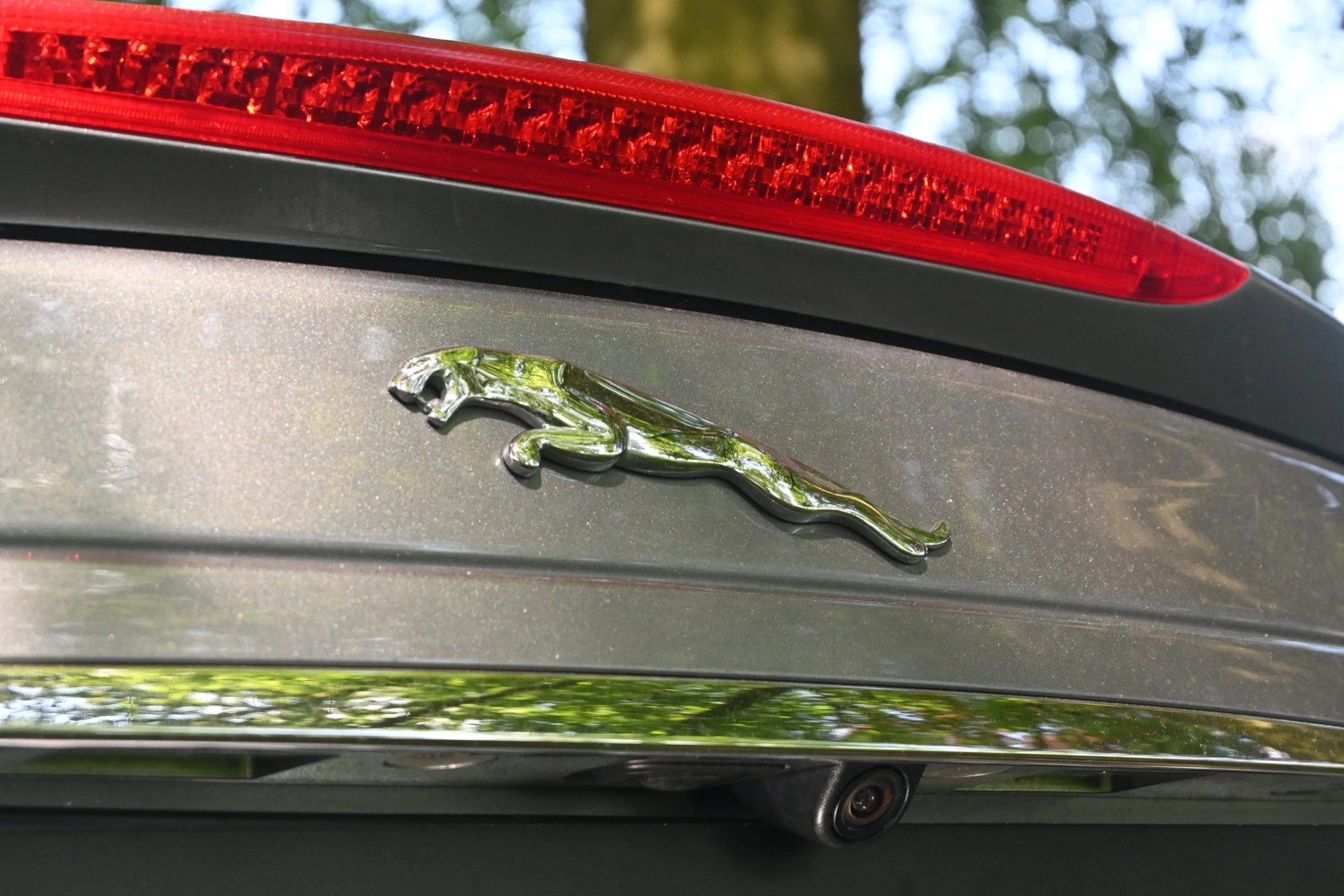 Hoofdafbeelding Jaguar XK