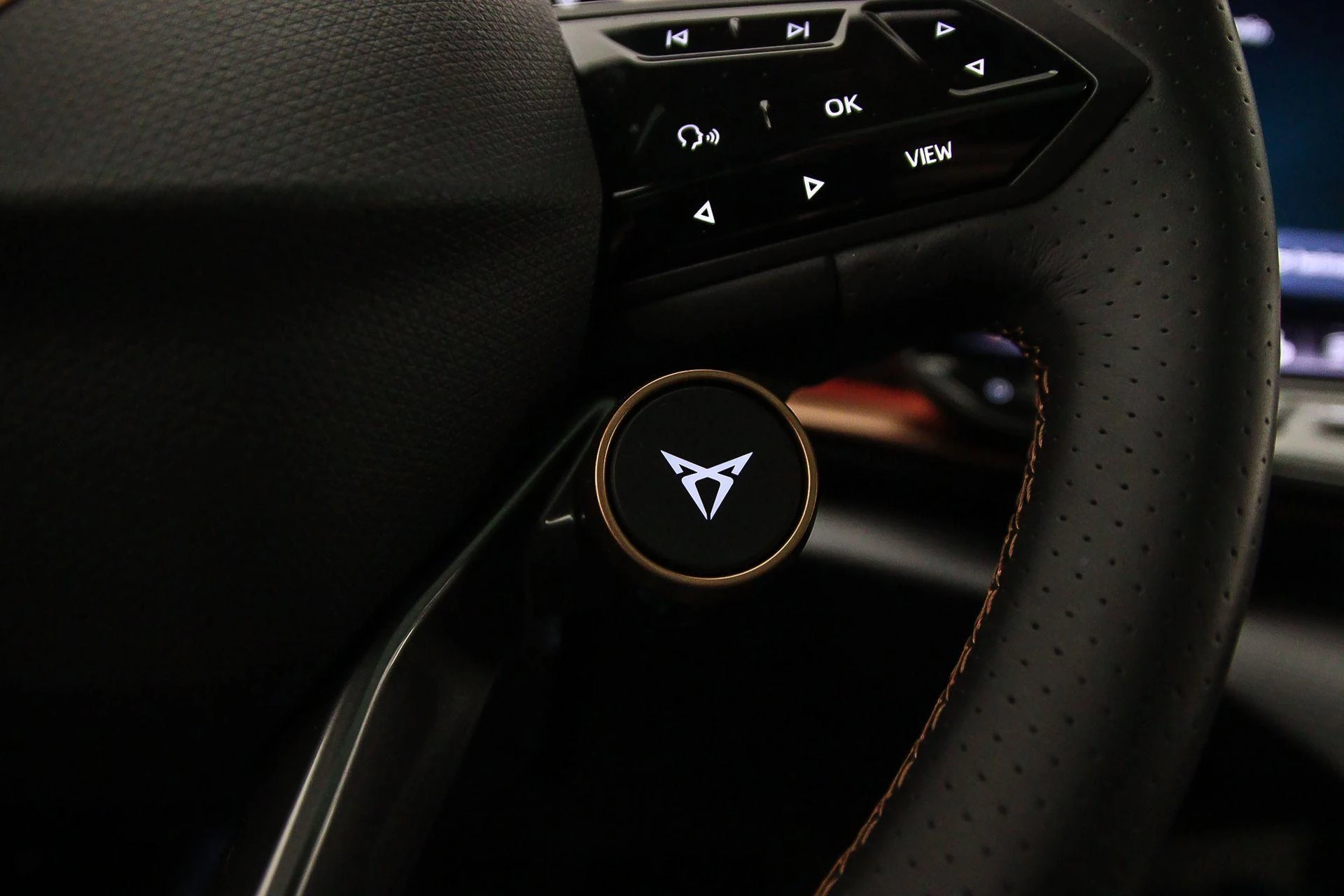 Hoofdafbeelding CUPRA Tavascan