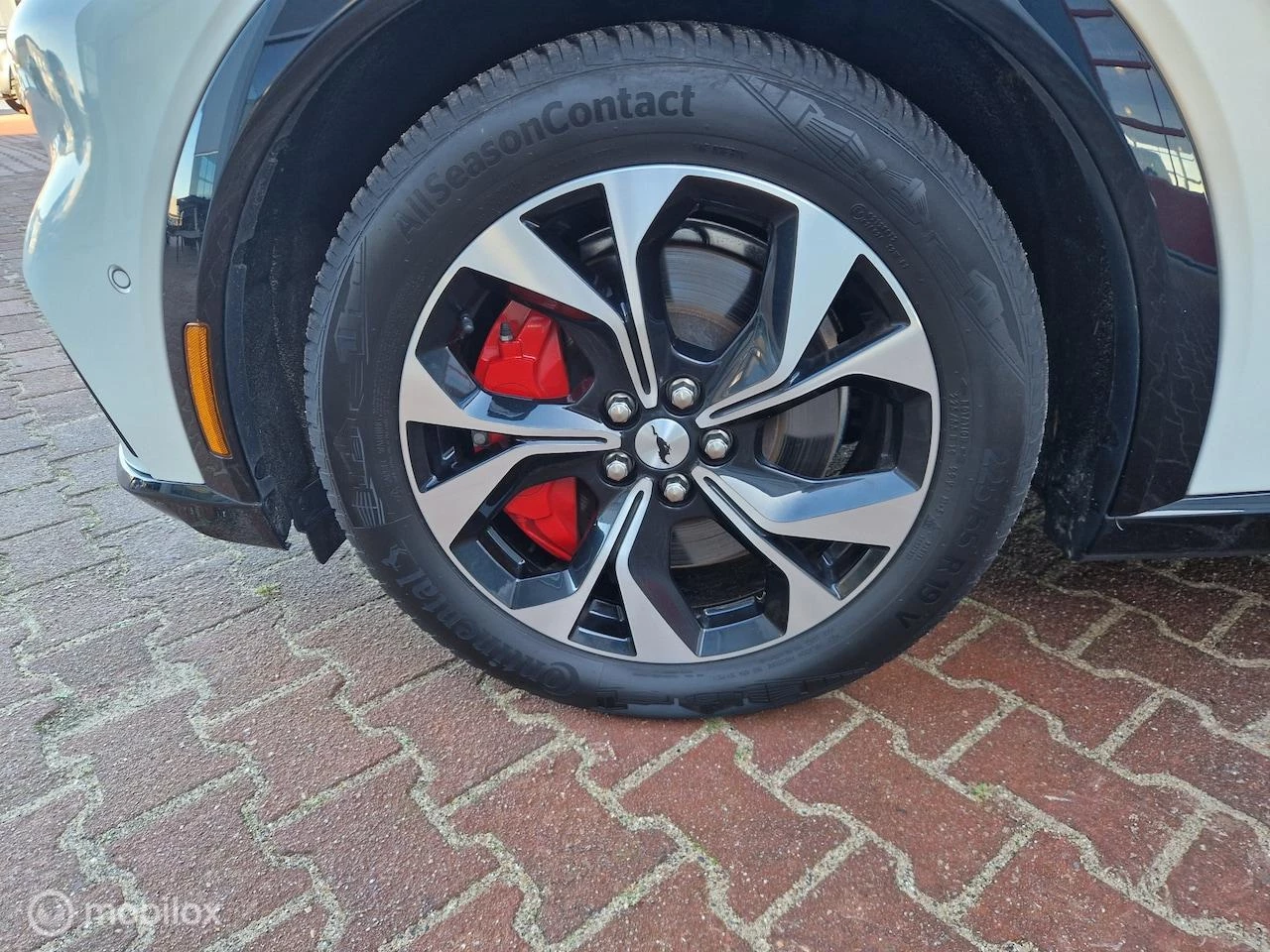 Hoofdafbeelding Ford Mustang Mach-E