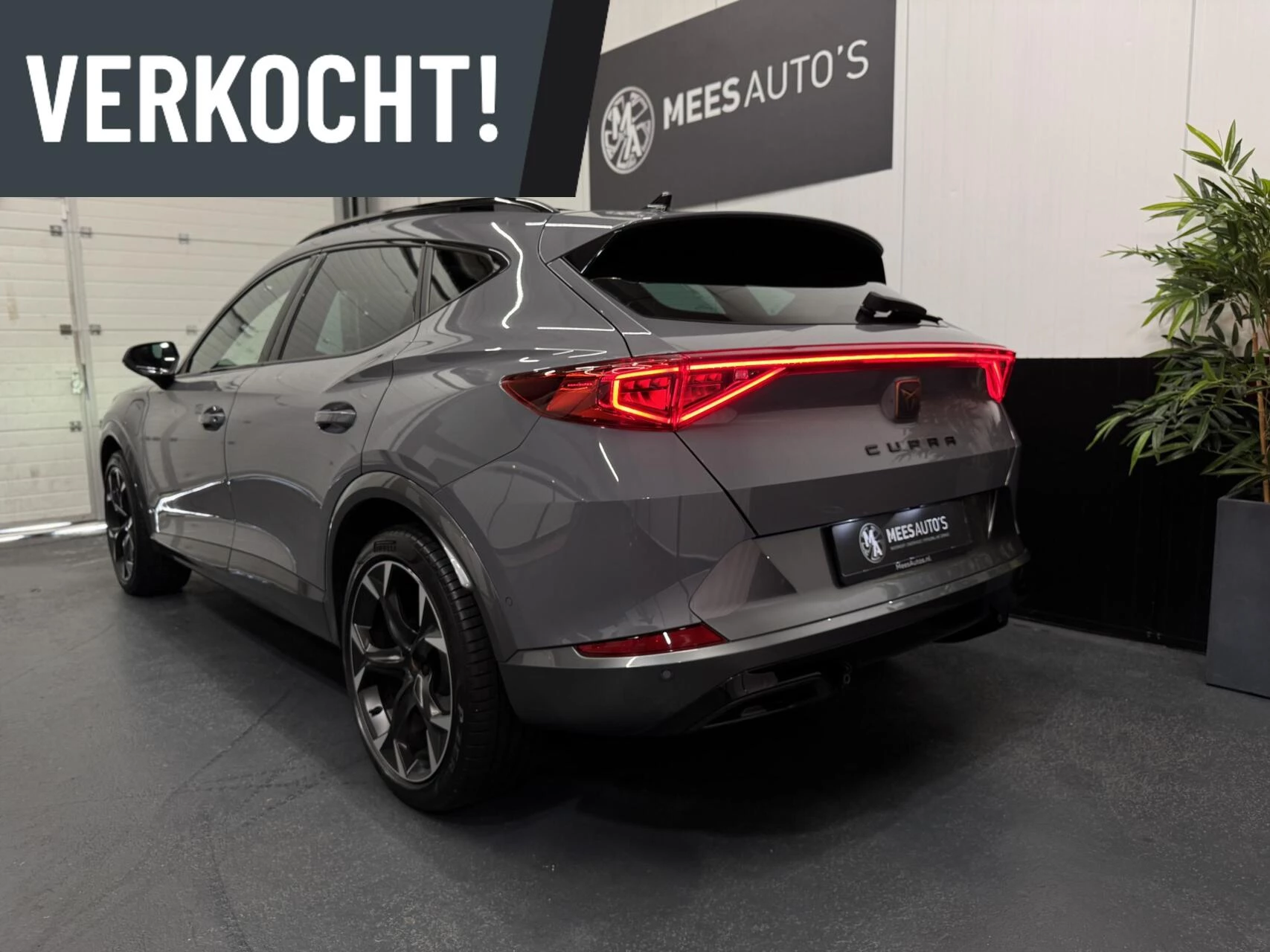 Hoofdafbeelding CUPRA Formentor