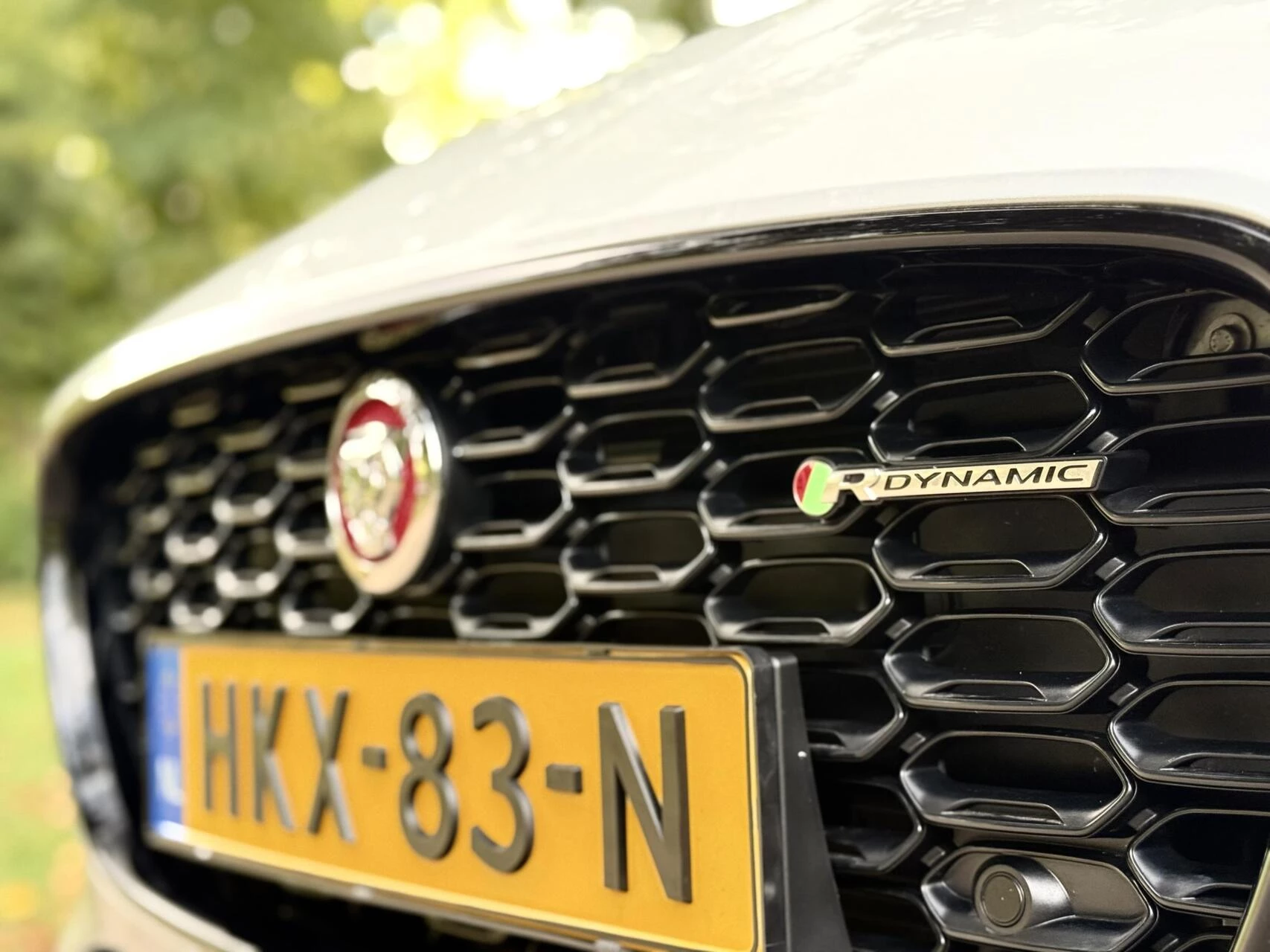 Hoofdafbeelding Jaguar F-Type