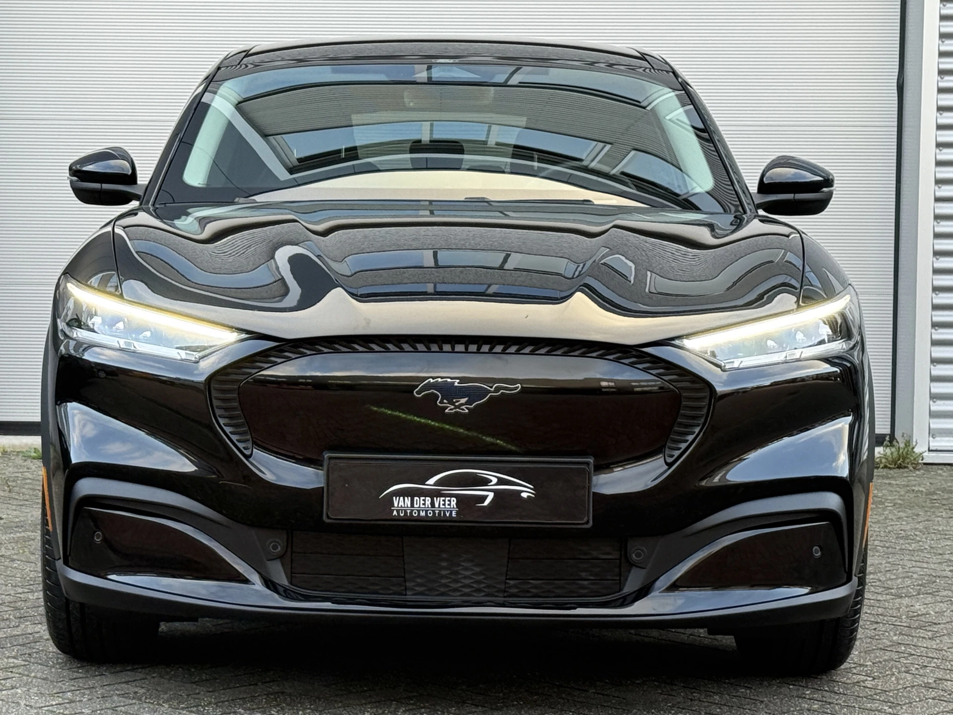 Hoofdafbeelding Ford Mustang Mach-E