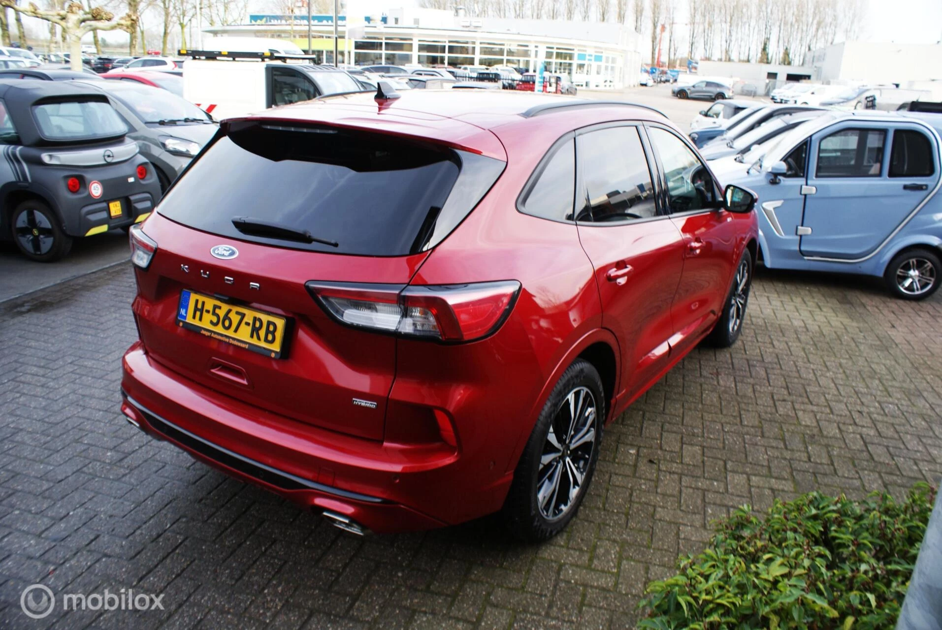 Hoofdafbeelding Ford Kuga