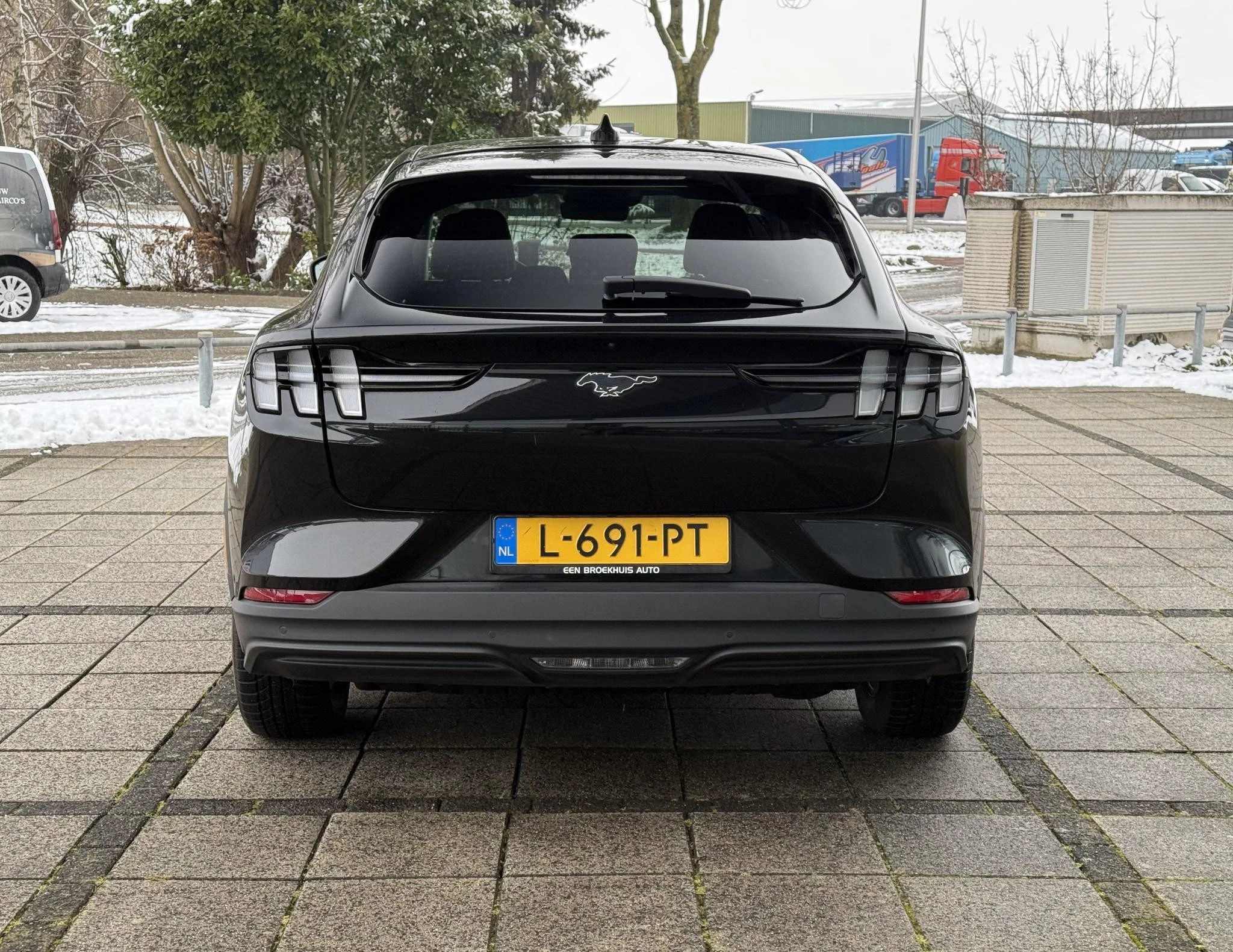 Hoofdafbeelding Ford Mustang Mach-E