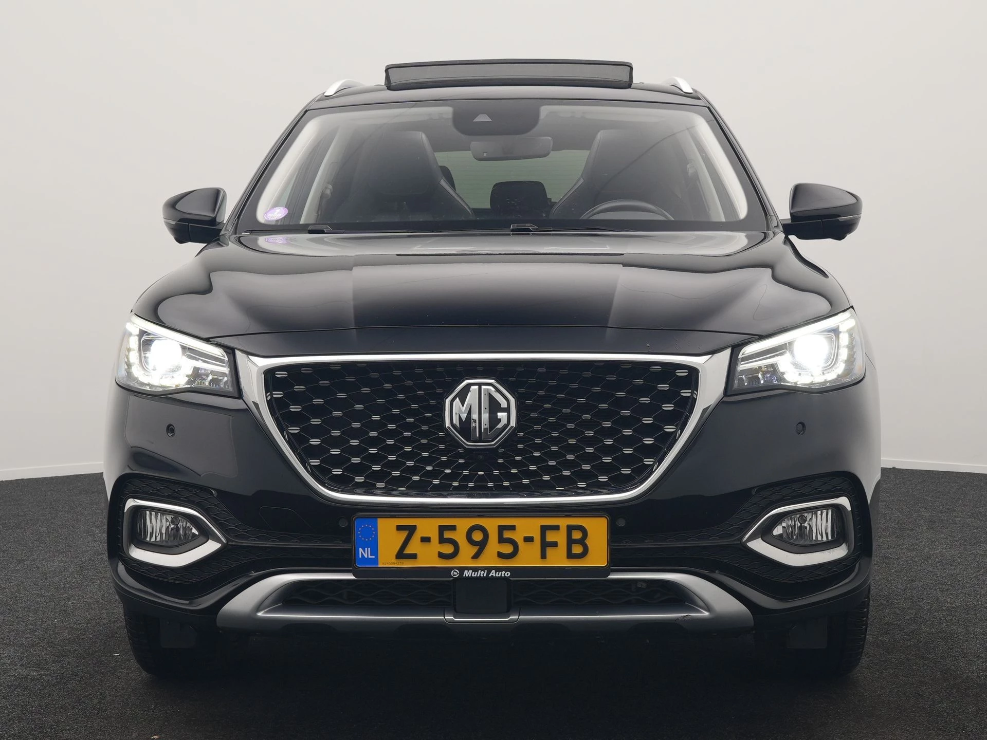 Hoofdafbeelding MG EHS