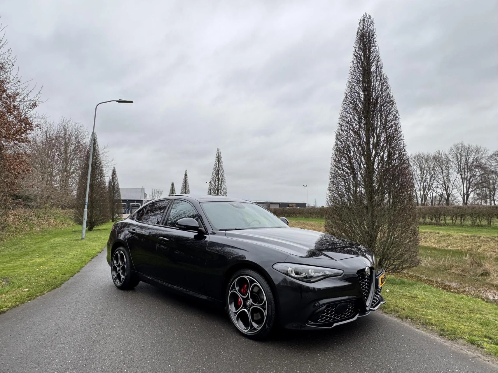 Hoofdafbeelding Alfa Romeo Giulia