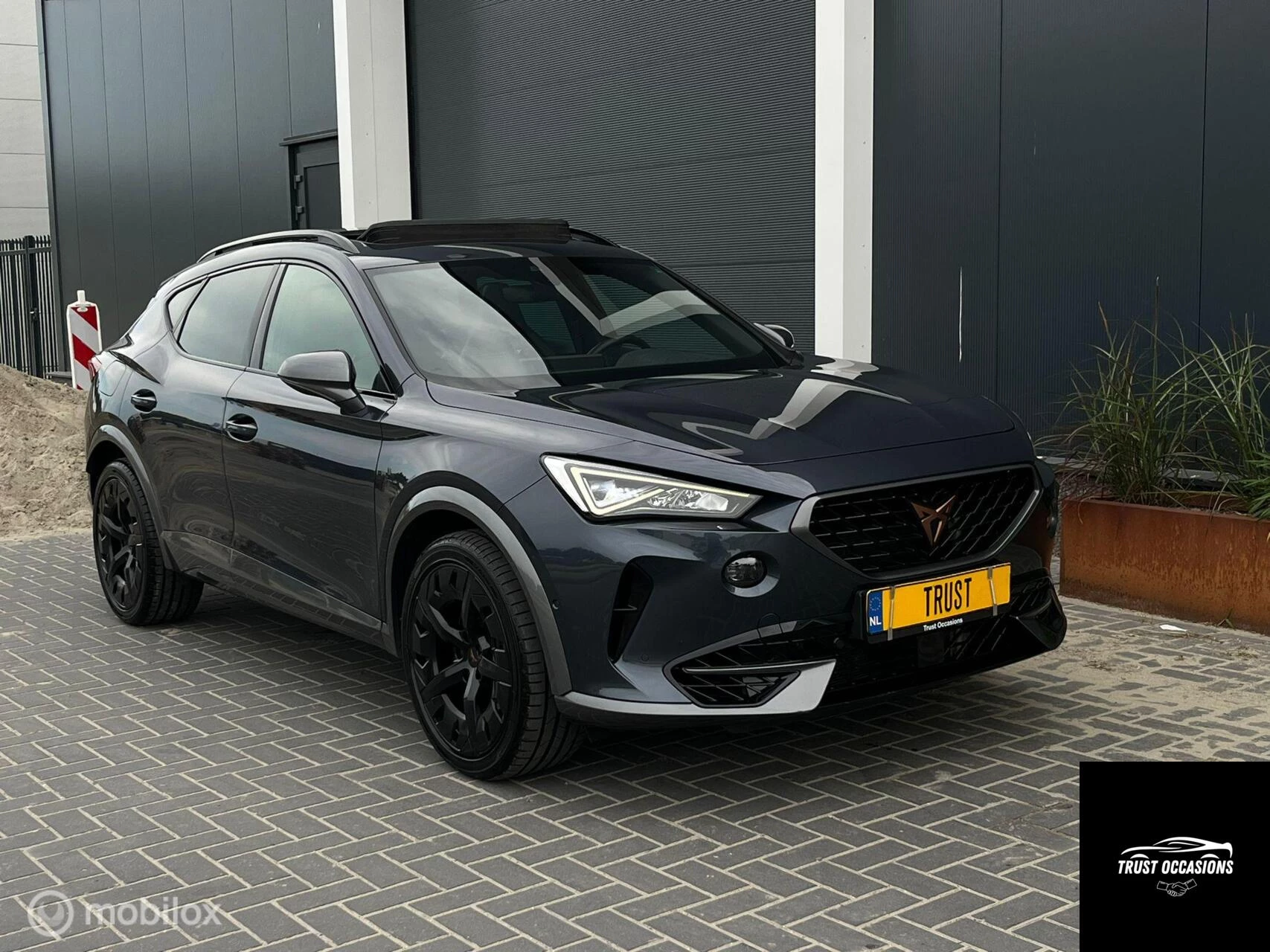Hoofdafbeelding CUPRA Formentor