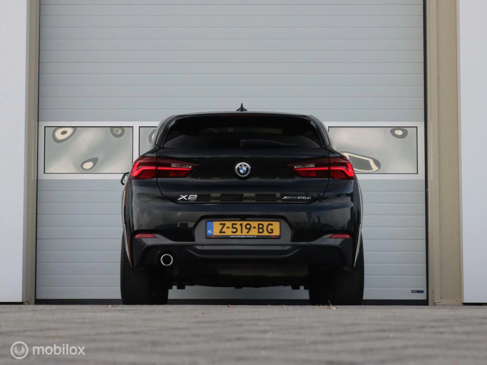 Hoofdafbeelding BMW X2