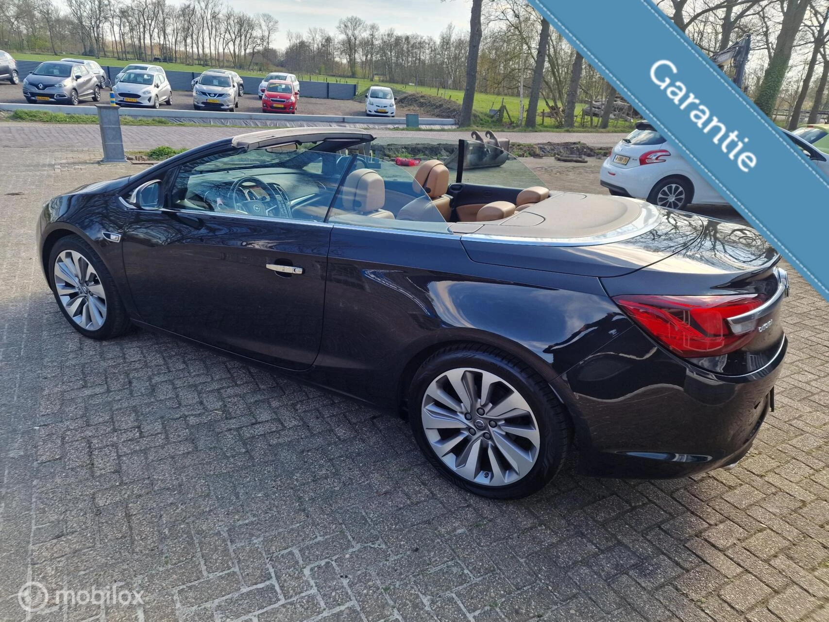 Hoofdafbeelding Opel Cascada