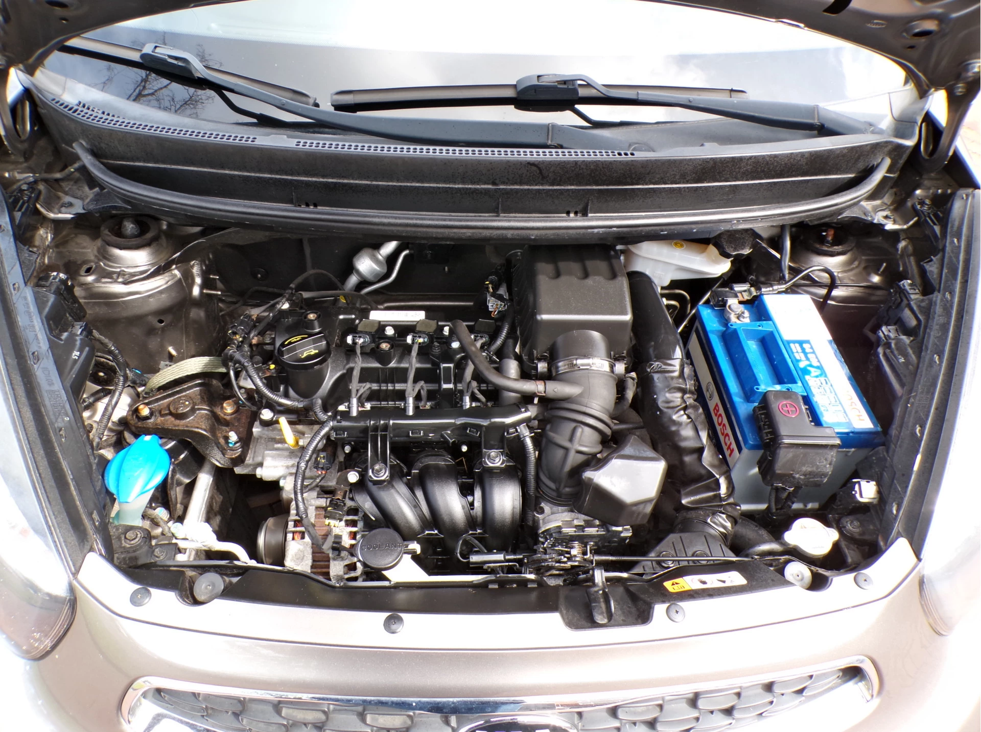 Hoofdafbeelding Kia Picanto