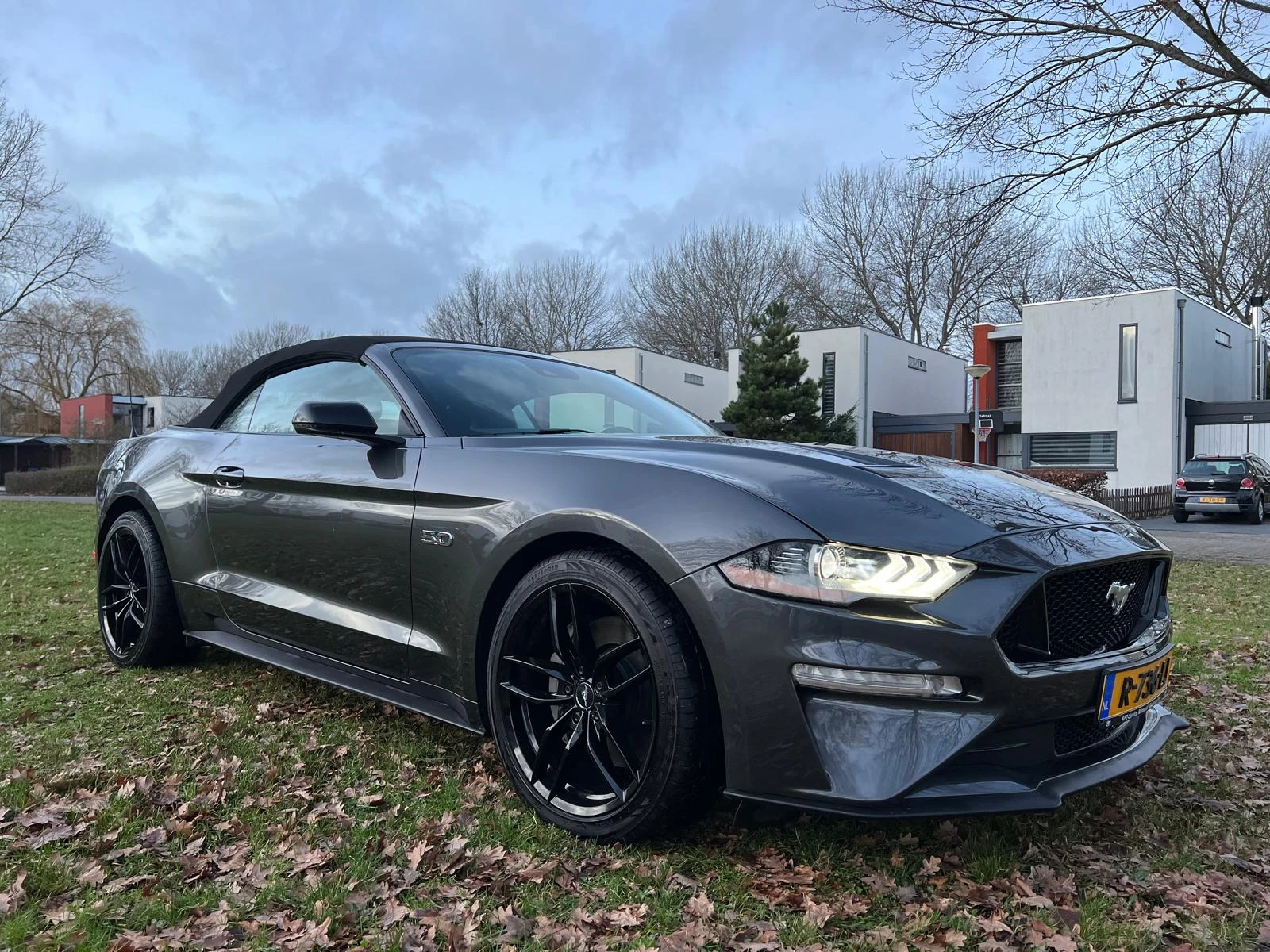 Hoofdafbeelding Ford Mustang