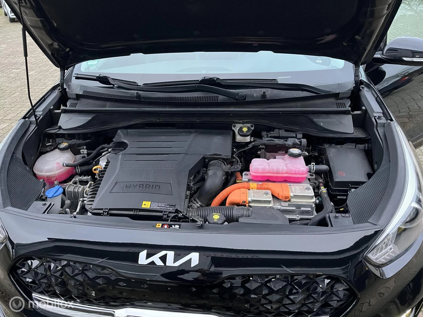 Hoofdafbeelding Kia Niro