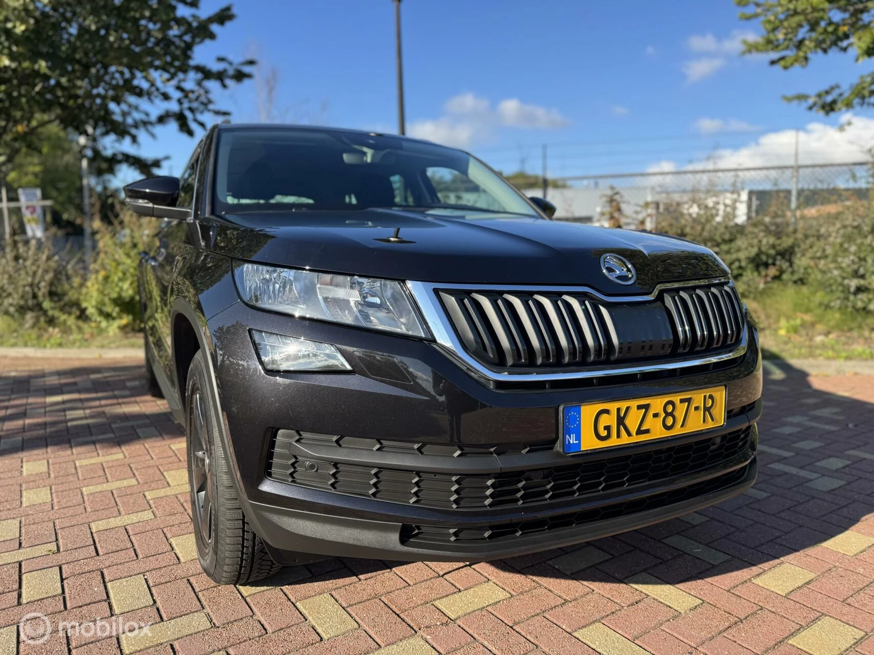 Hoofdafbeelding Škoda Kodiaq