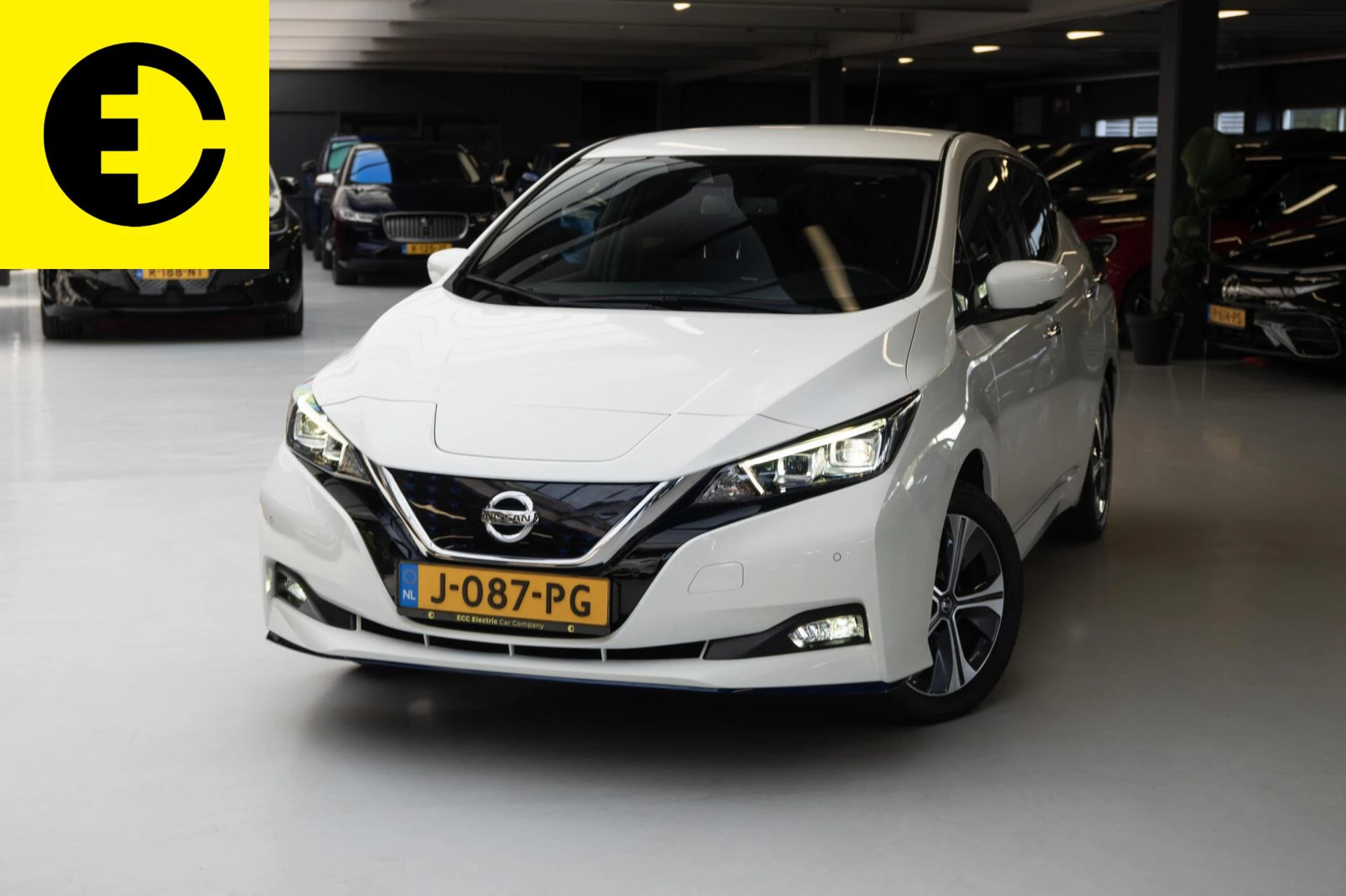 Hoofdafbeelding Nissan Leaf