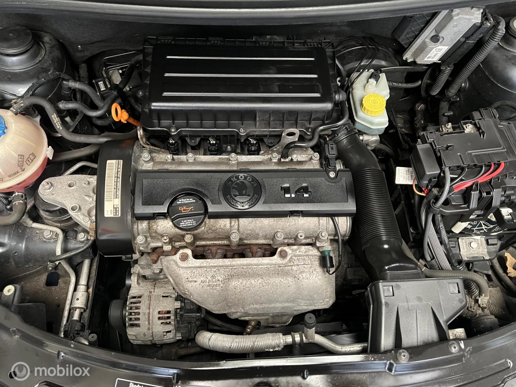 Hoofdafbeelding Škoda Fabia
