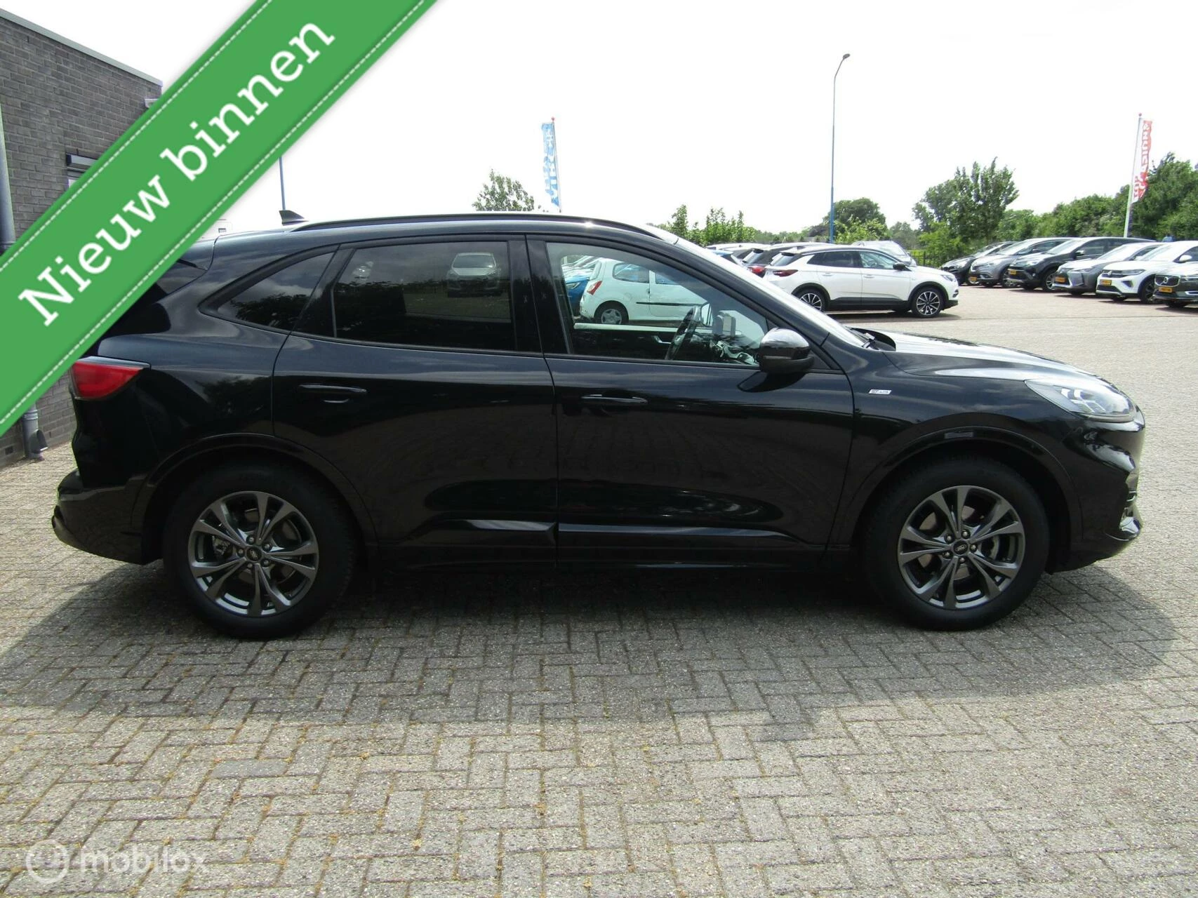 Hoofdafbeelding Ford Kuga
